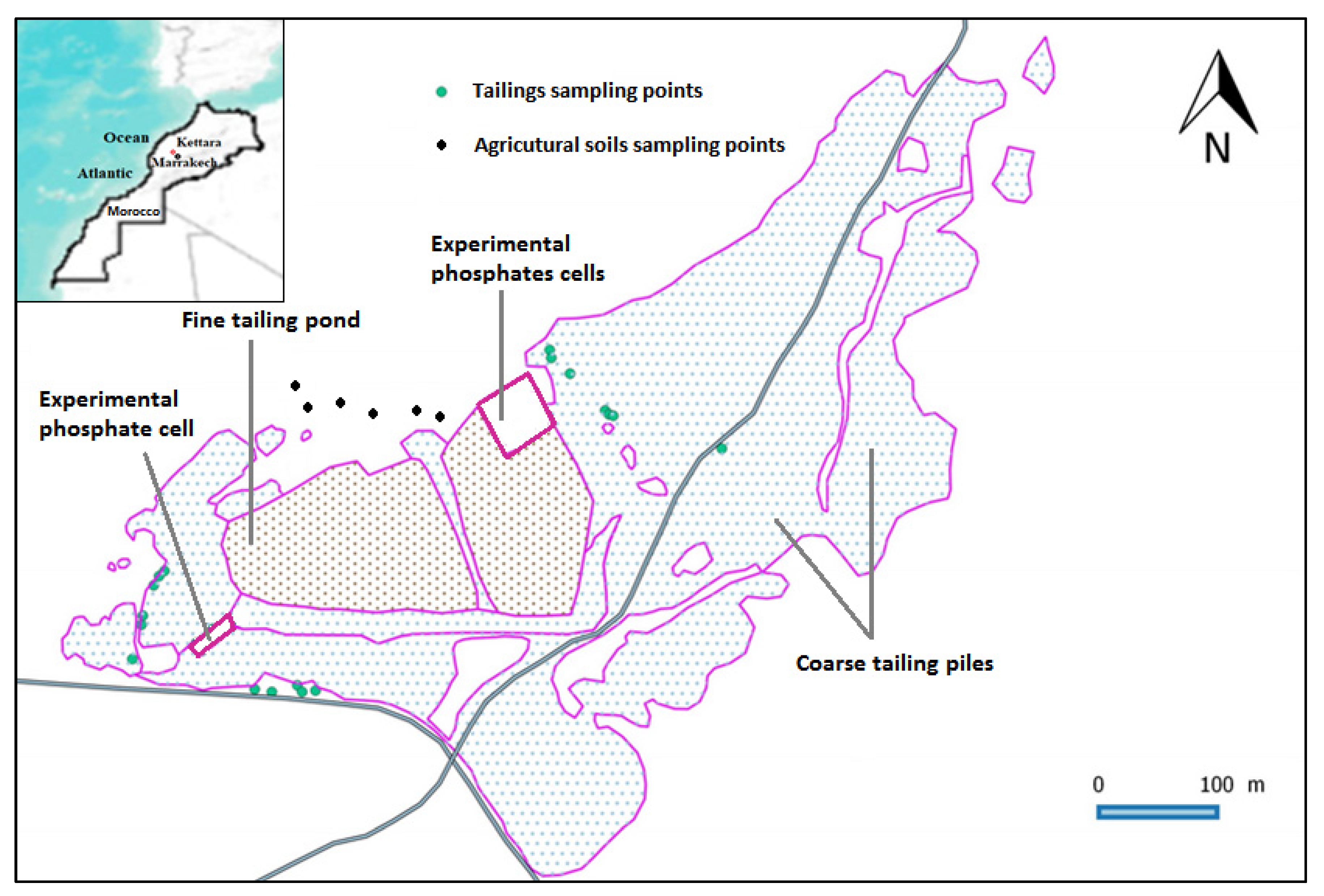 Plants 11 00179 g001