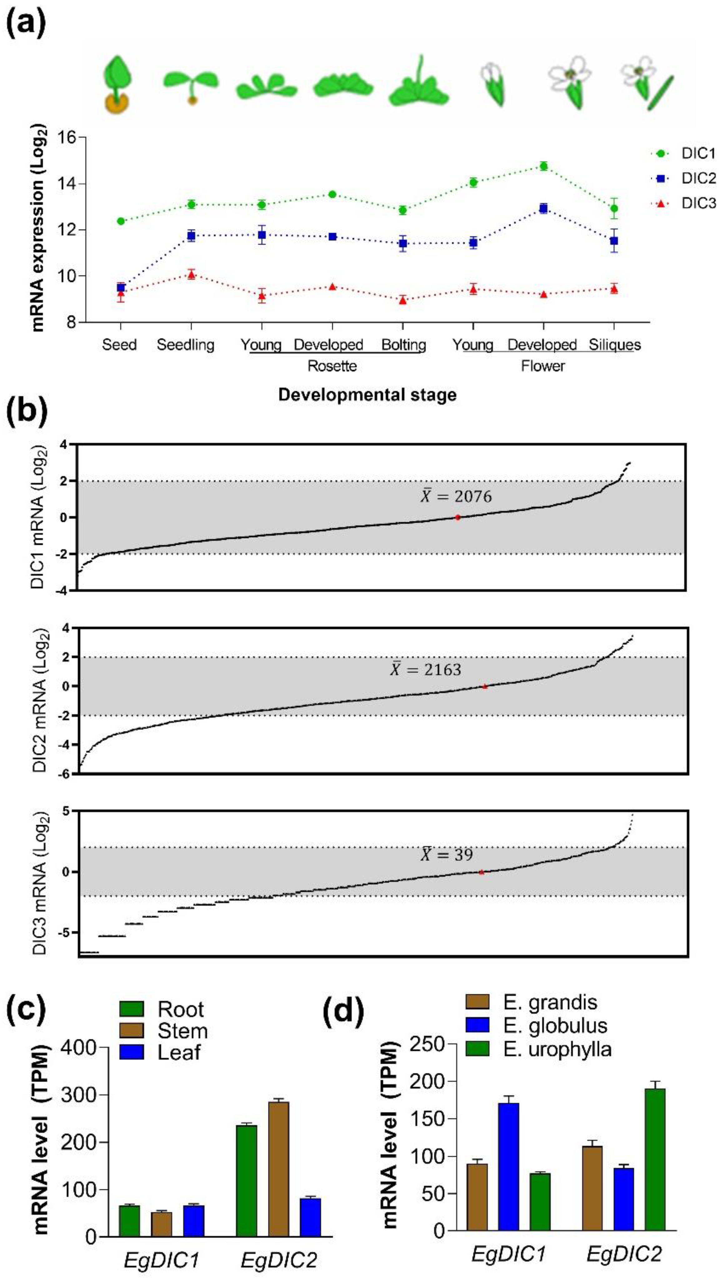 Plants 11 00181 g003