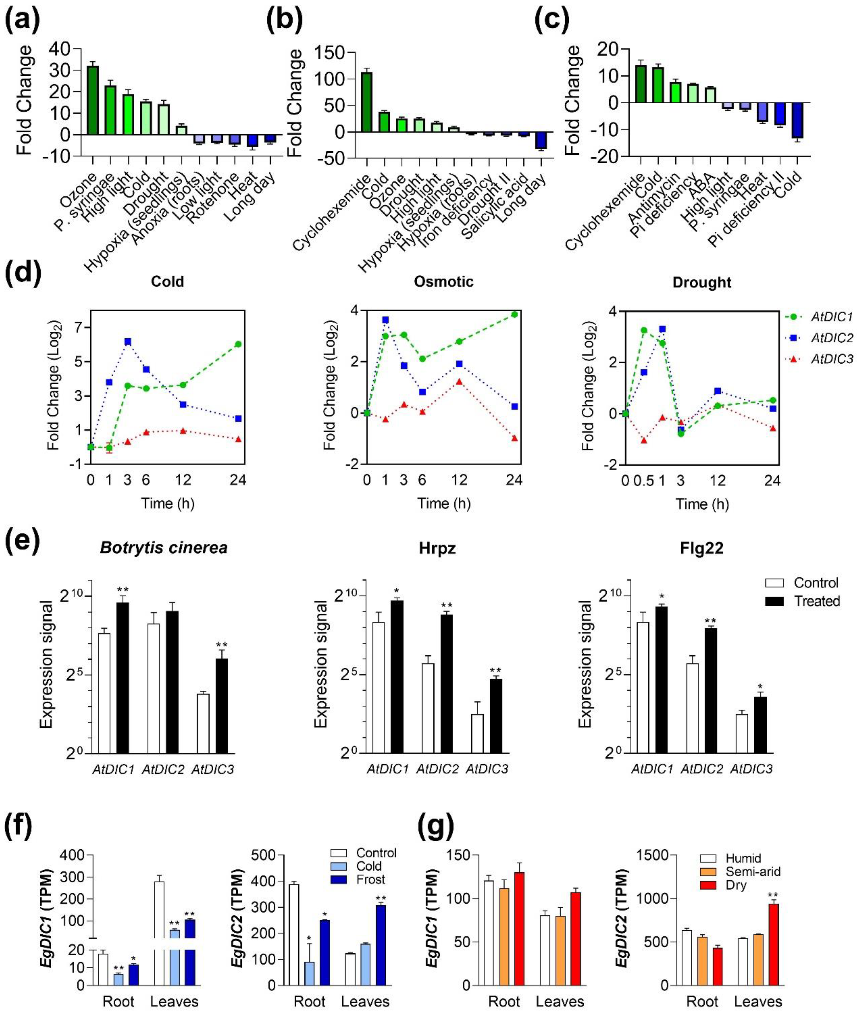 Plants 11 00181 g004