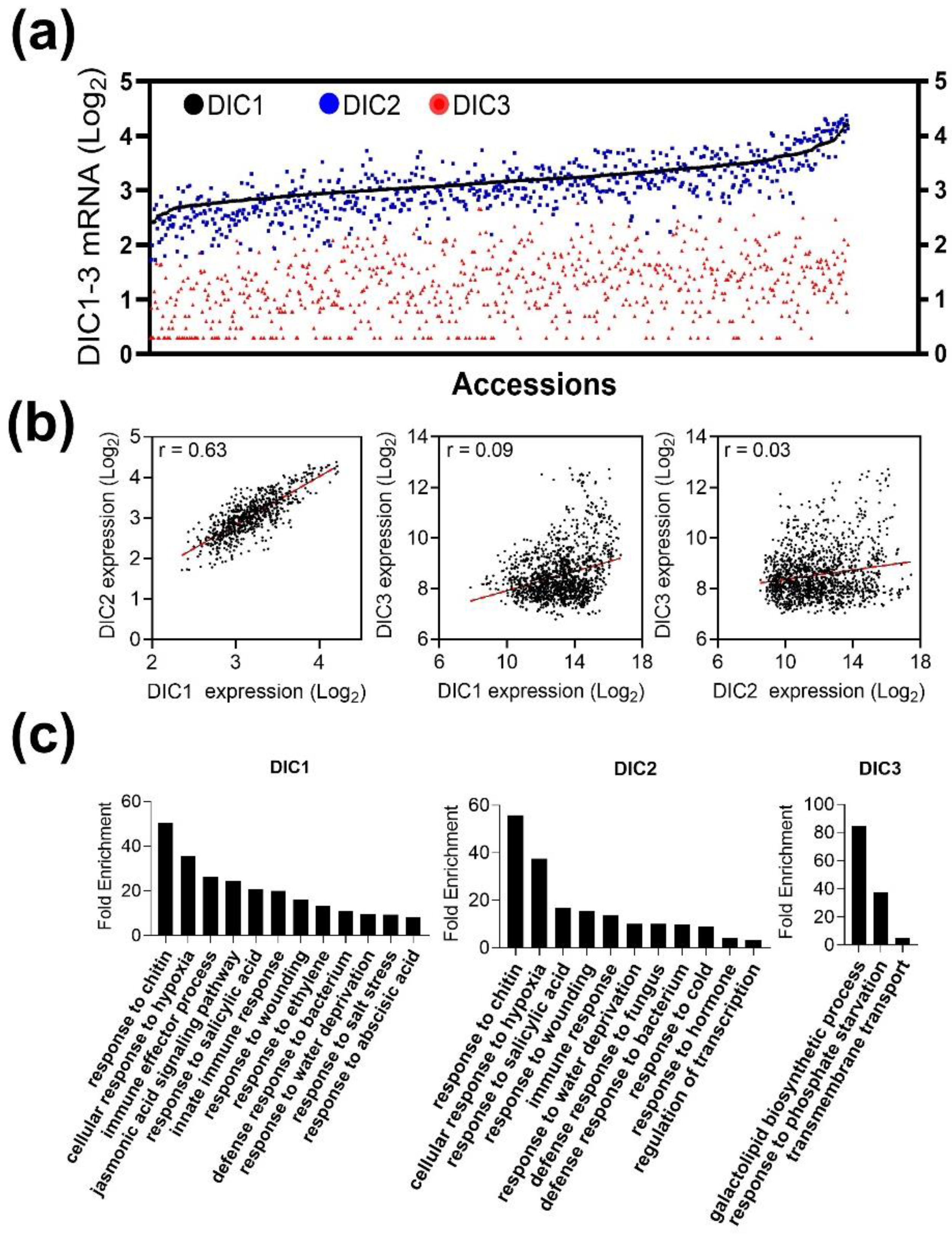 Plants 11 00181 g005