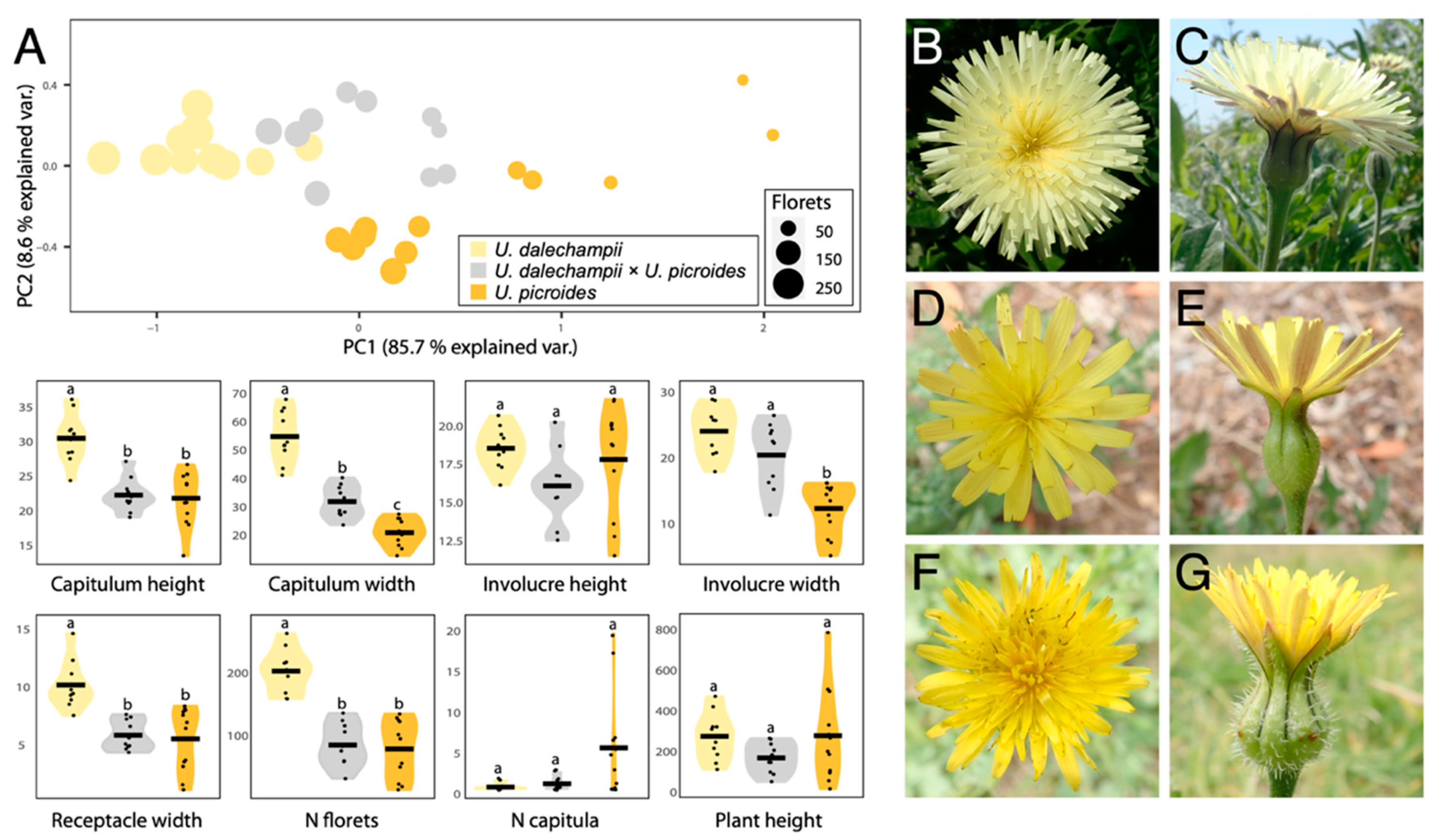 Plants 11 00182 g001