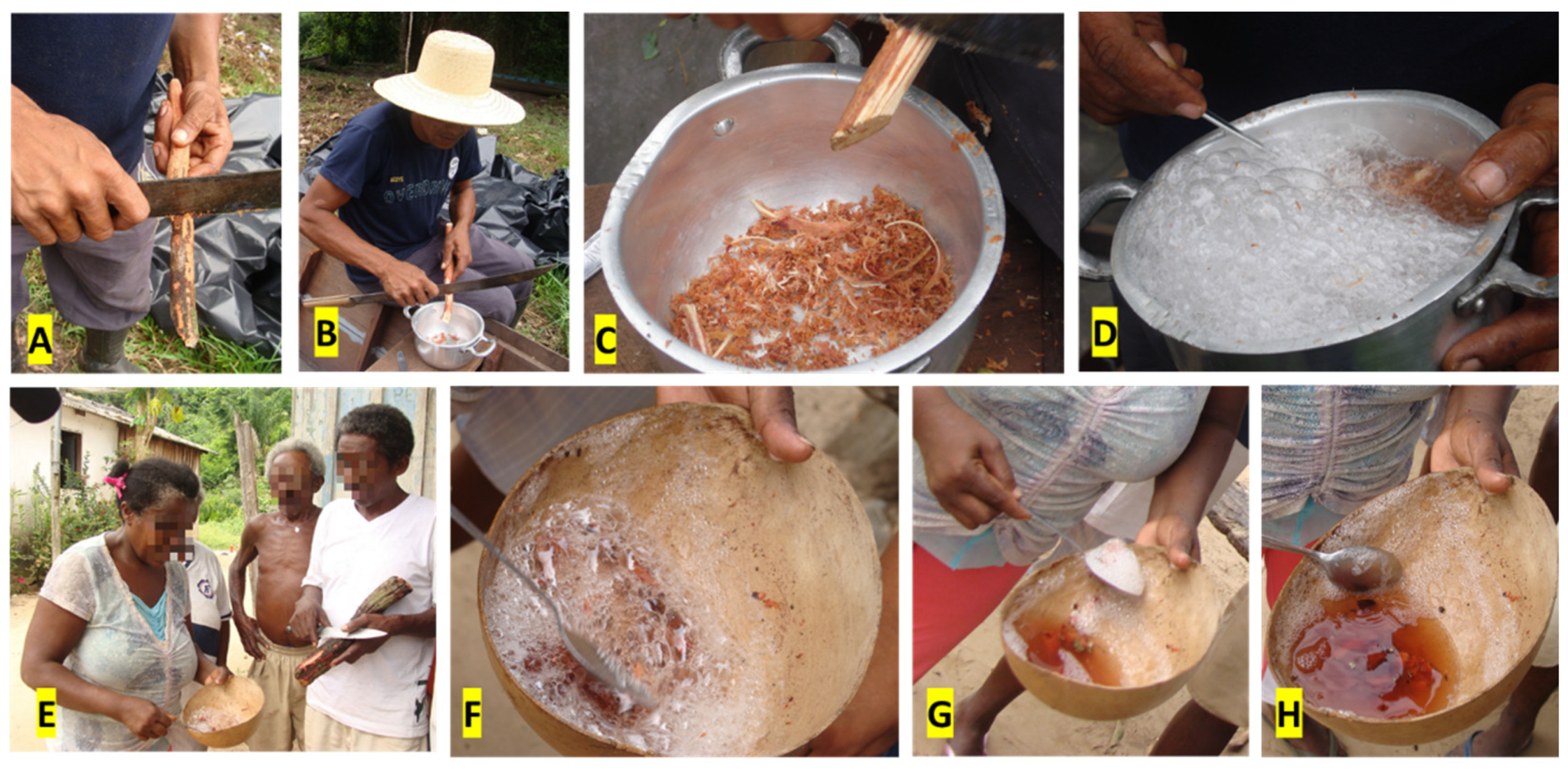 Plants 11 00191 g002