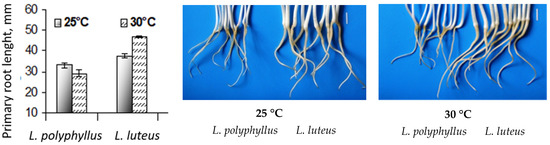 Plants 11 00192 g003 550