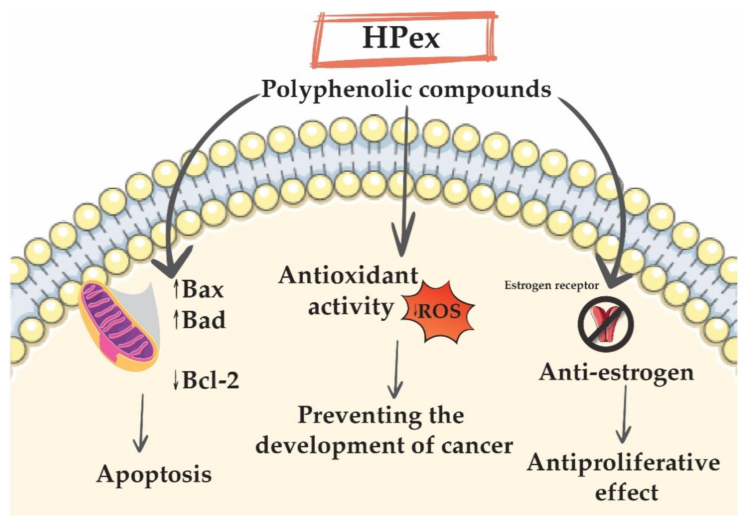 Plants 11 00194 g005 550