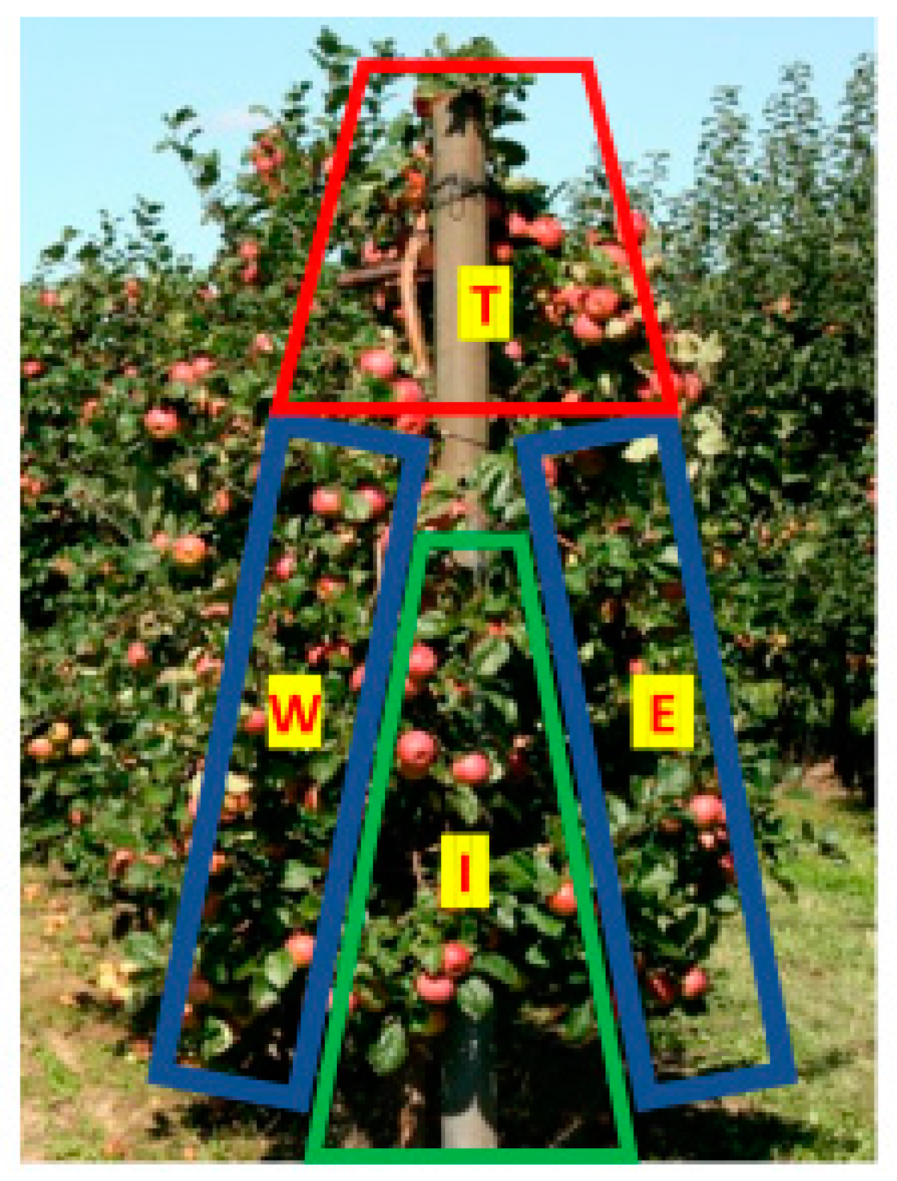 Plants 11 00196 g003