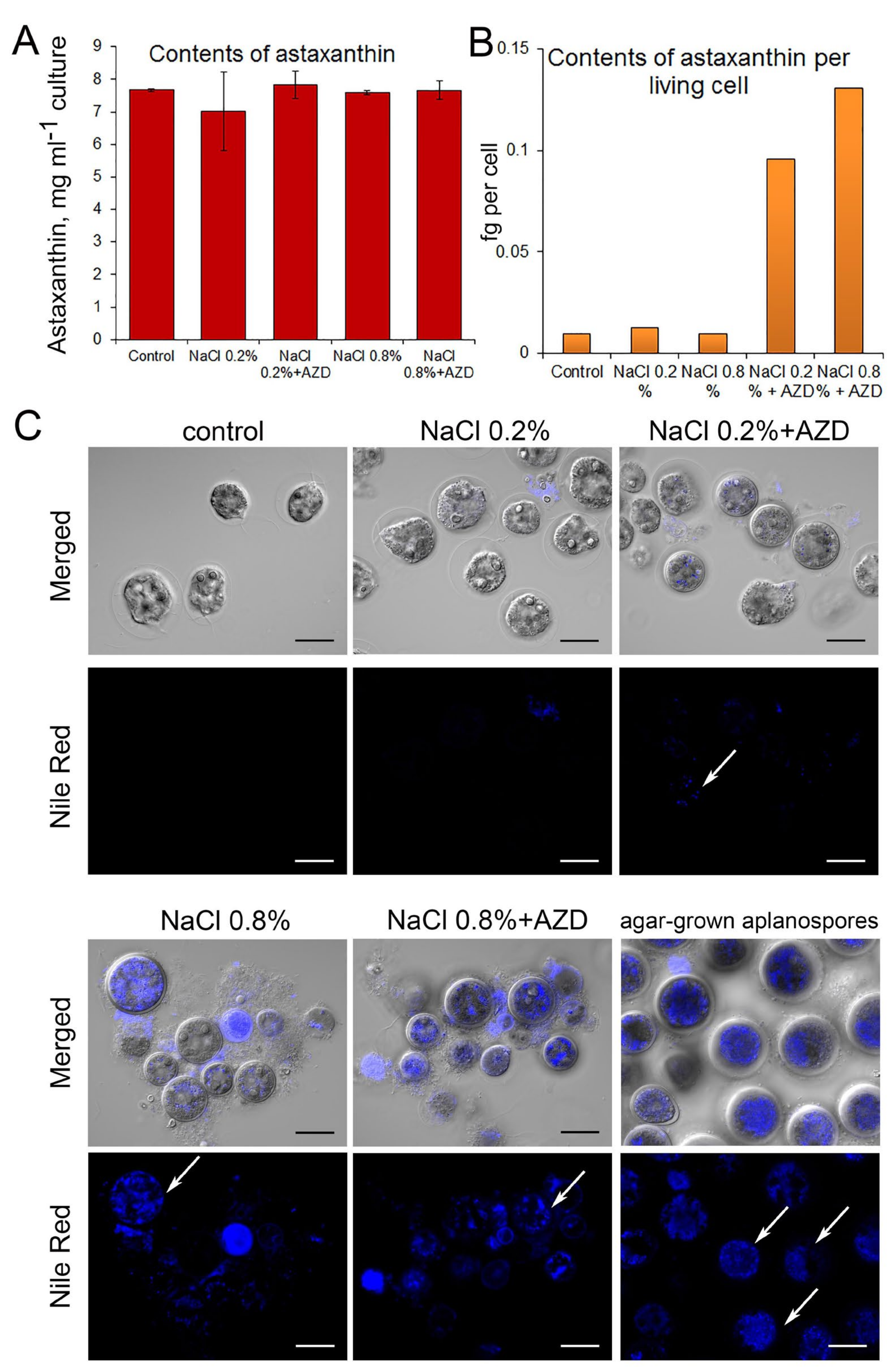 Plants 11 00197 g005 550