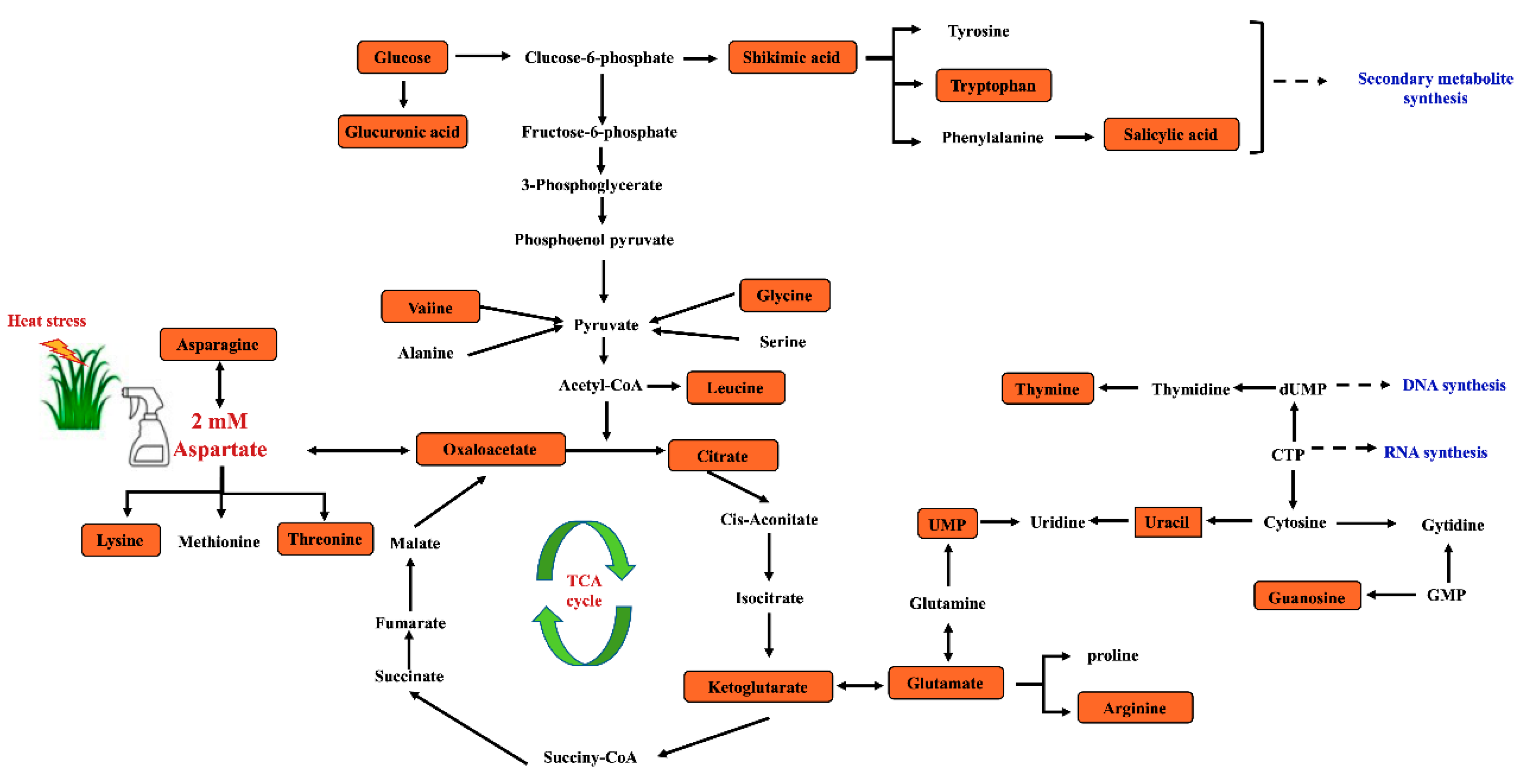 Plants 11 00199 g009 550