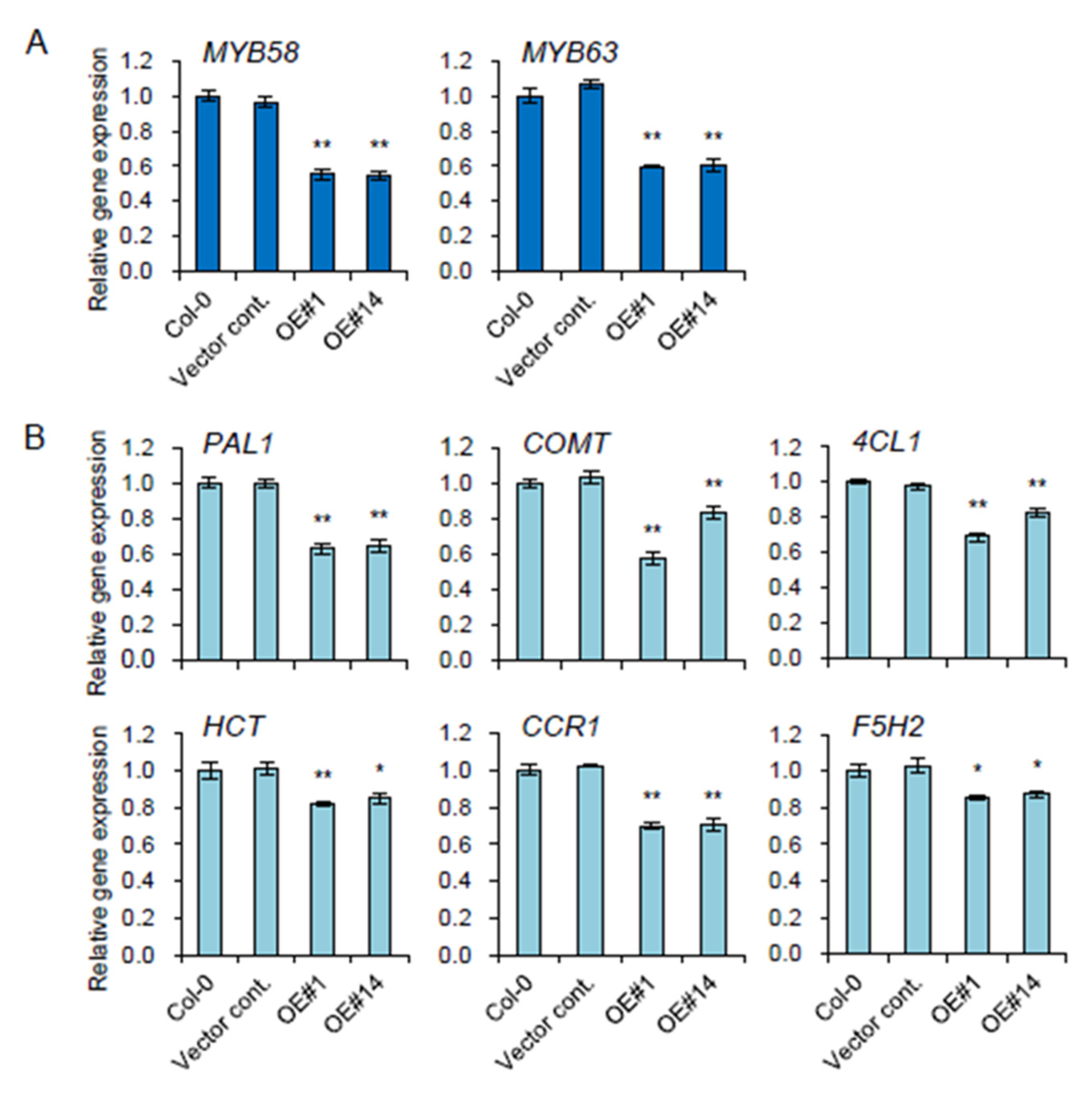 Plants 11 00200 g004
