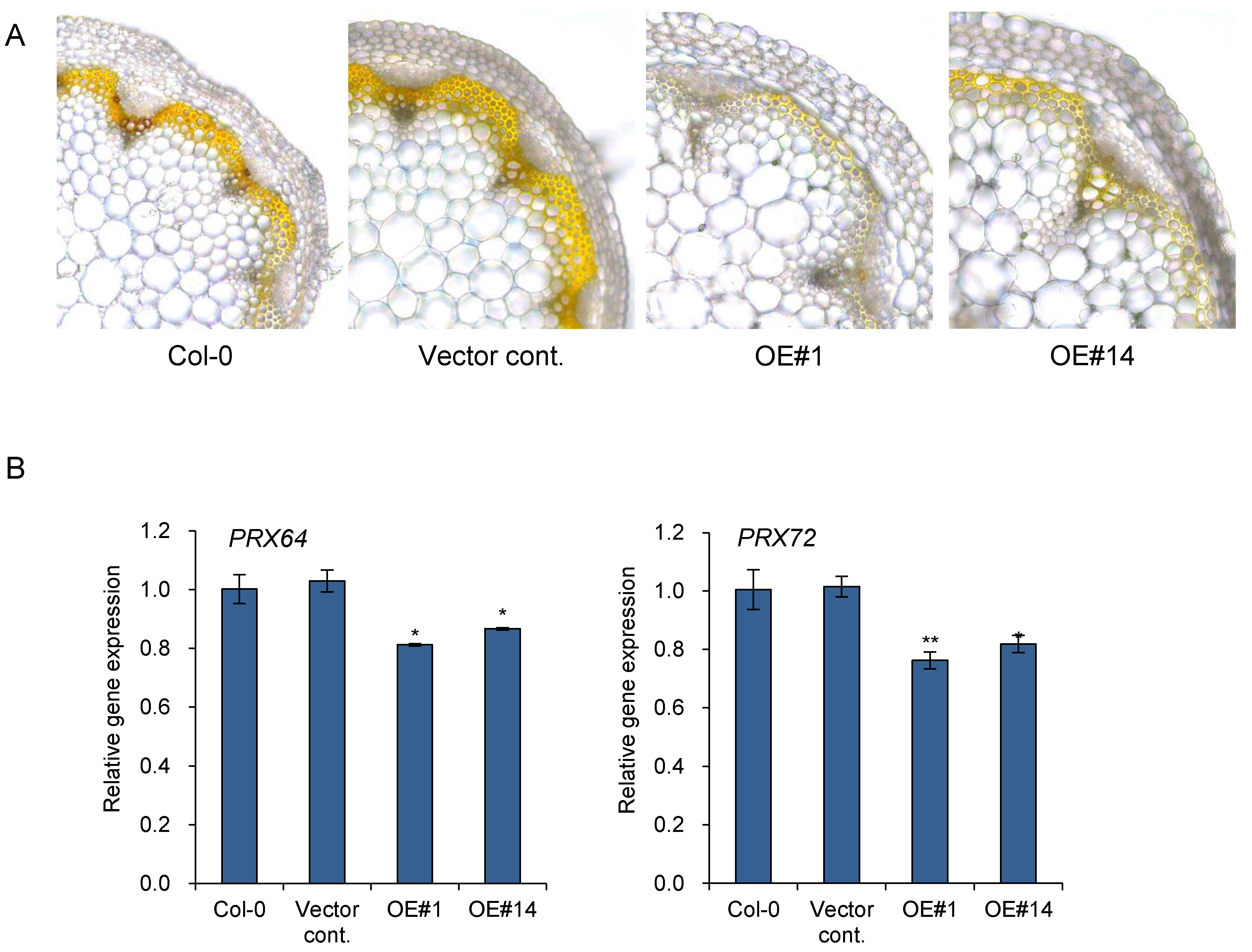 Plants 11 00200 g005