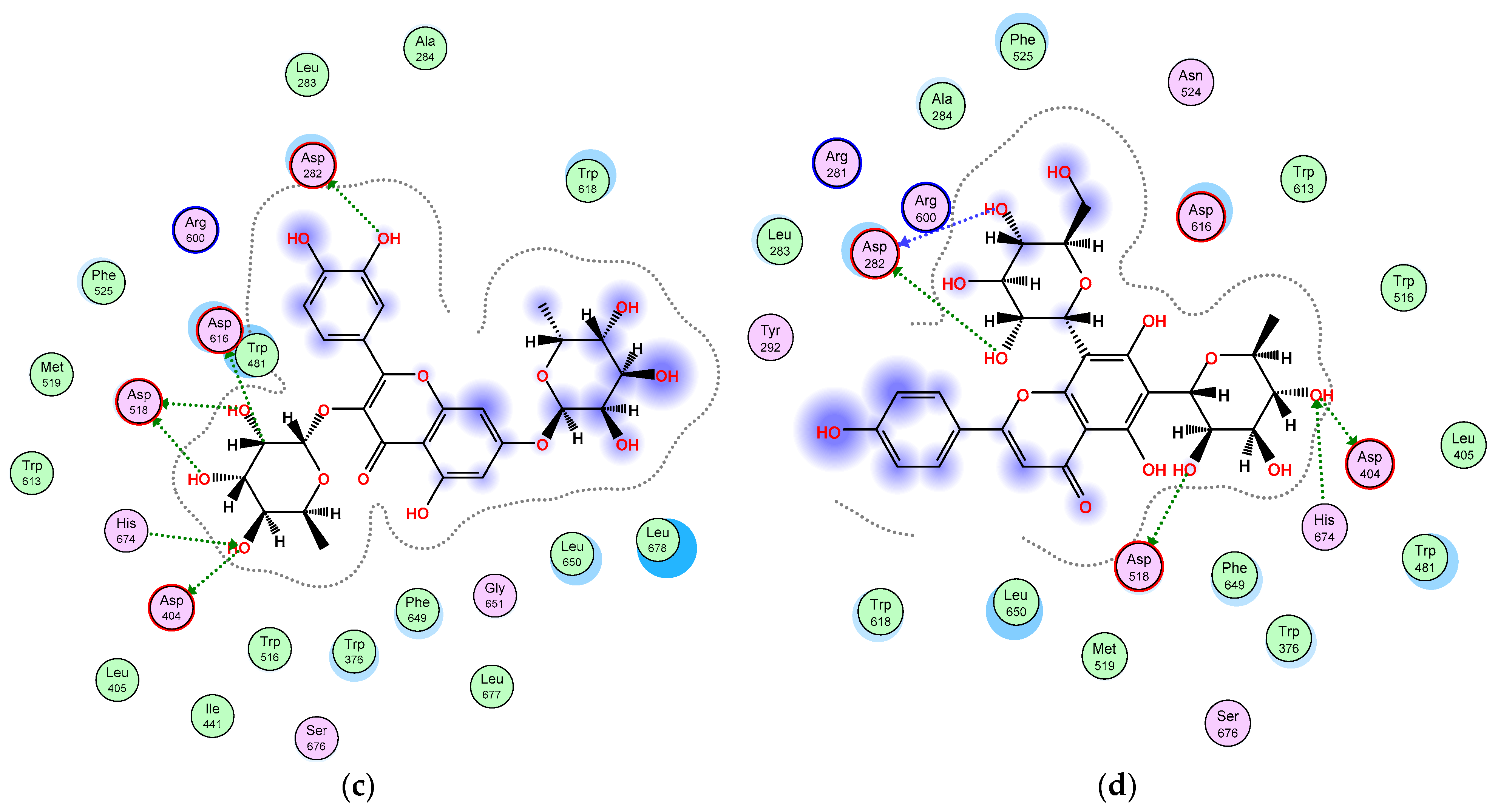 Plants 11 00208 g004b Plants 11 00208 g004b