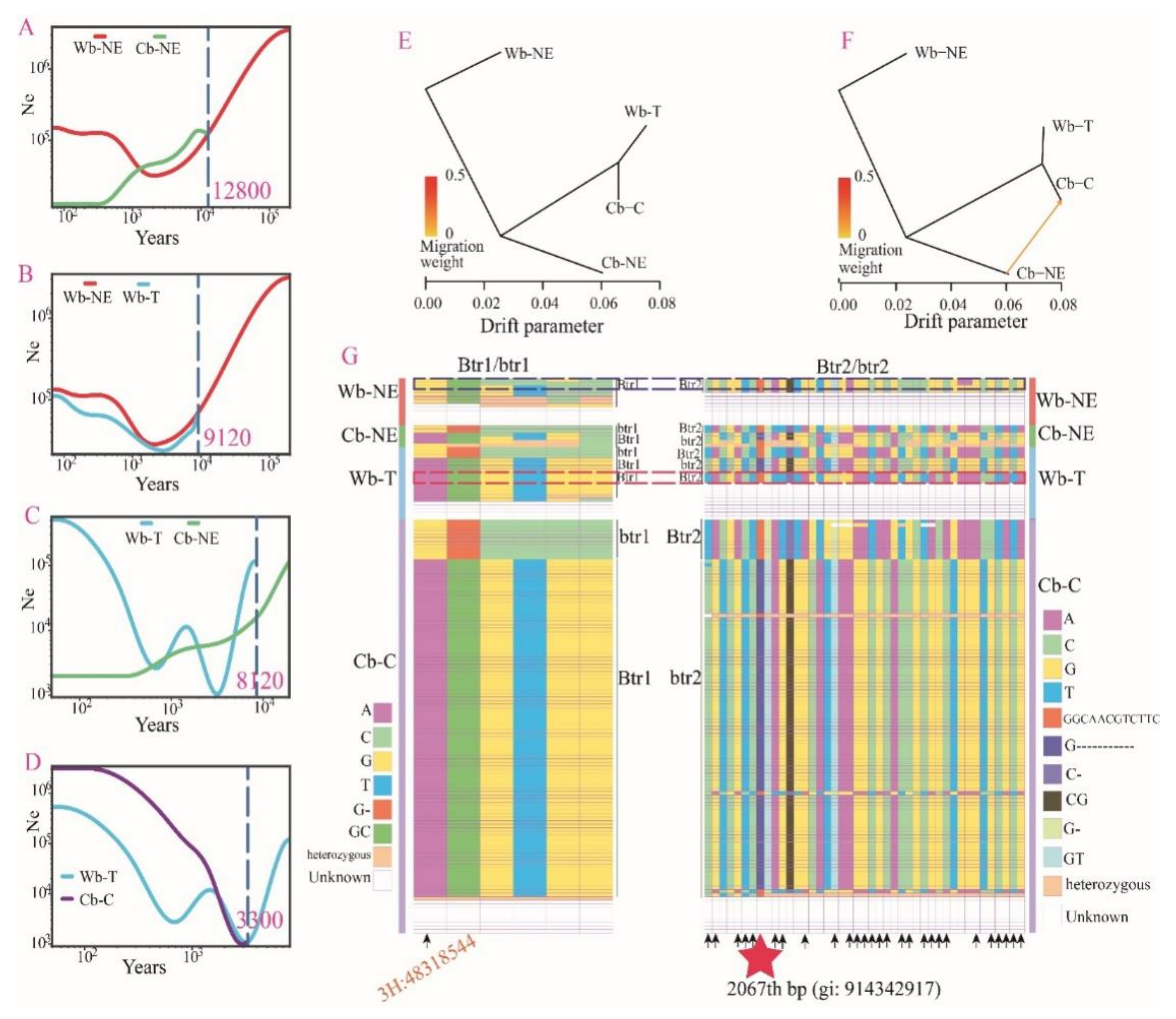 Plants 11 00209 g003