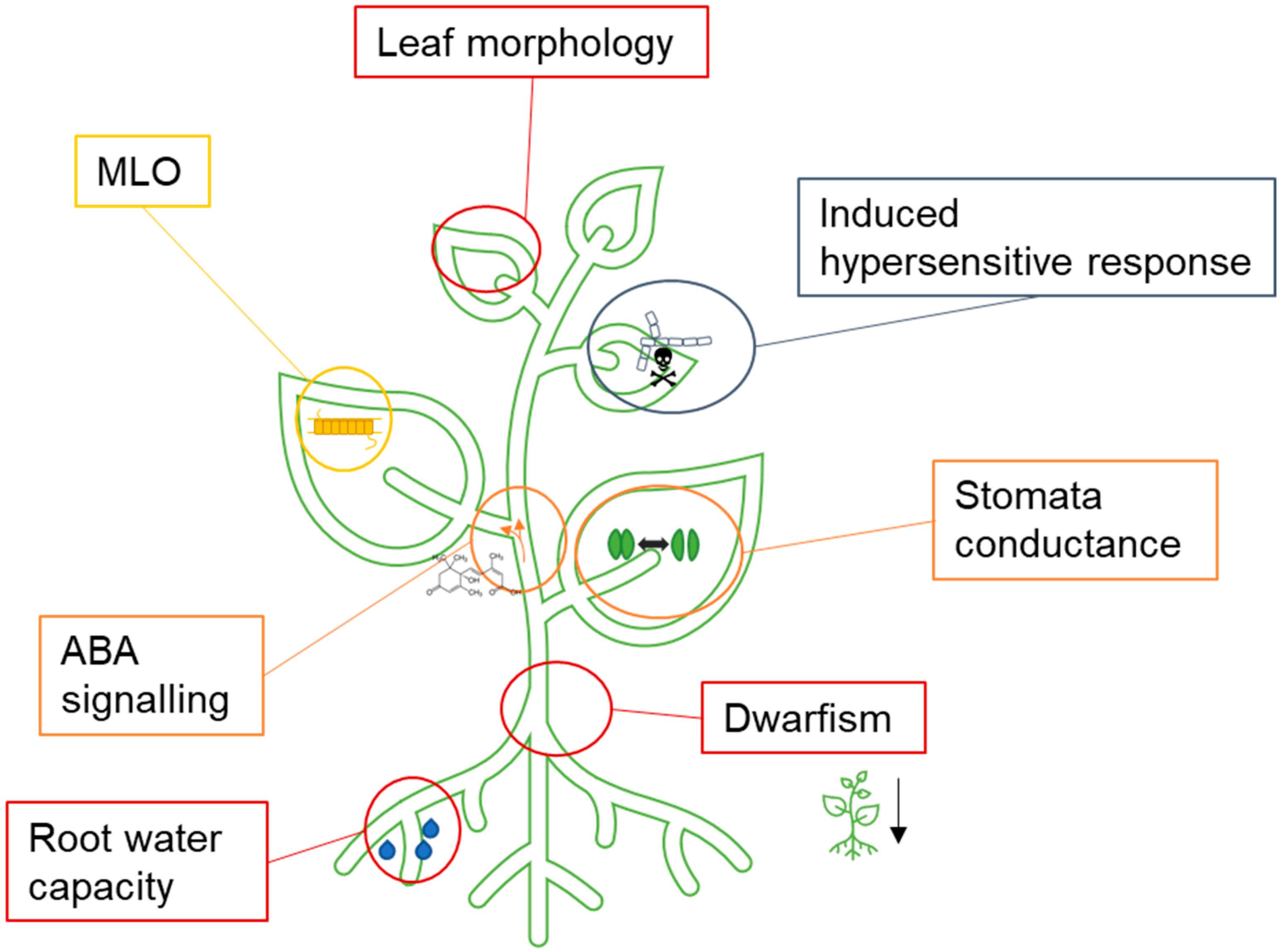 Plants 11 00212 g002