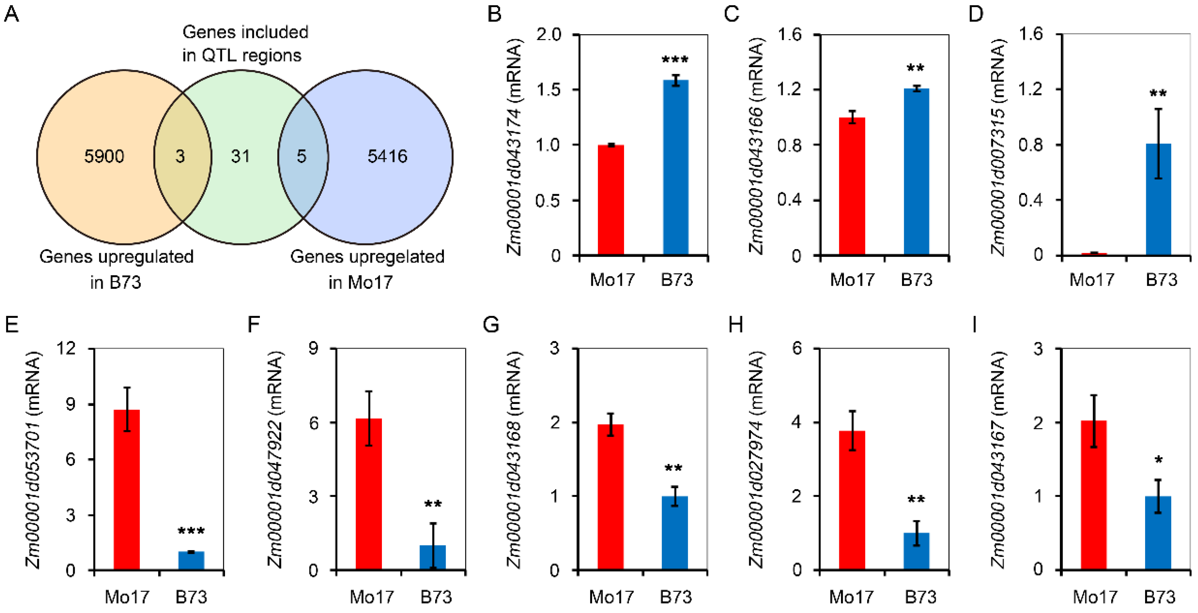 Plants 11 00214 g005 Plants 11 00214 g005