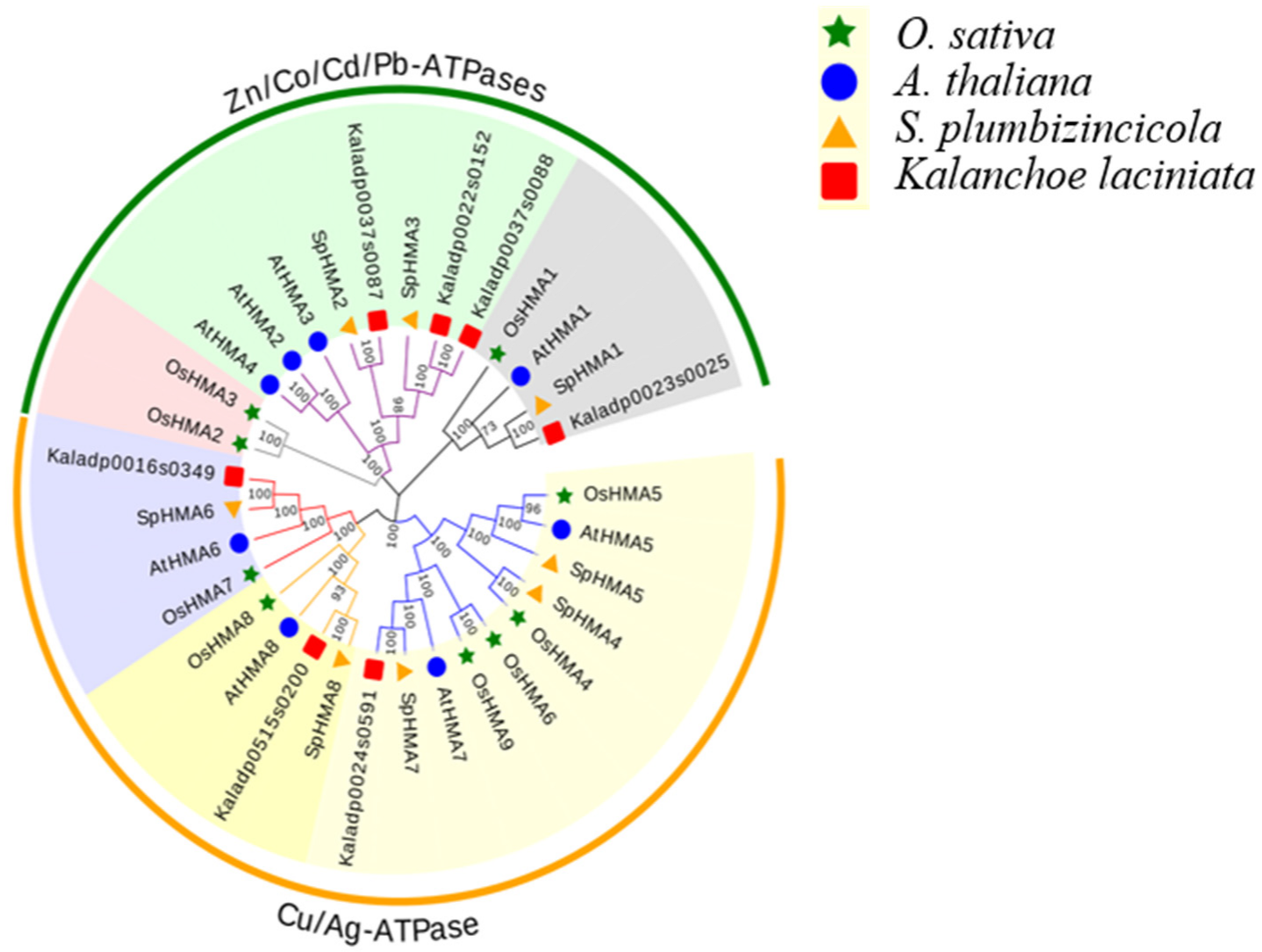 Plants 11 00215 g002 550