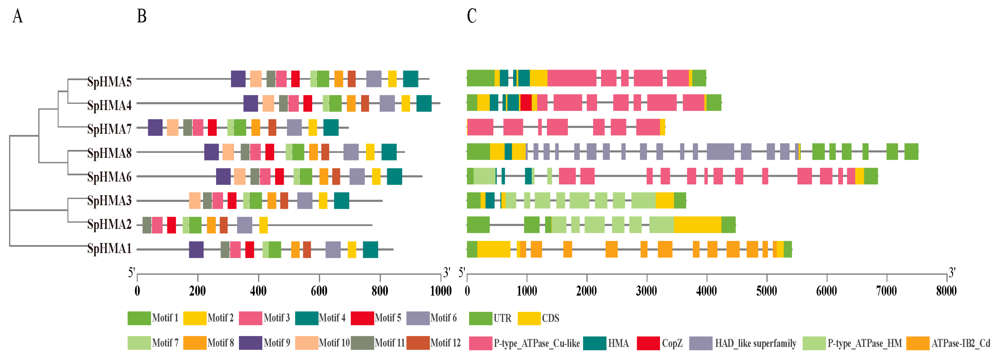 Plants 11 00215 g003 550