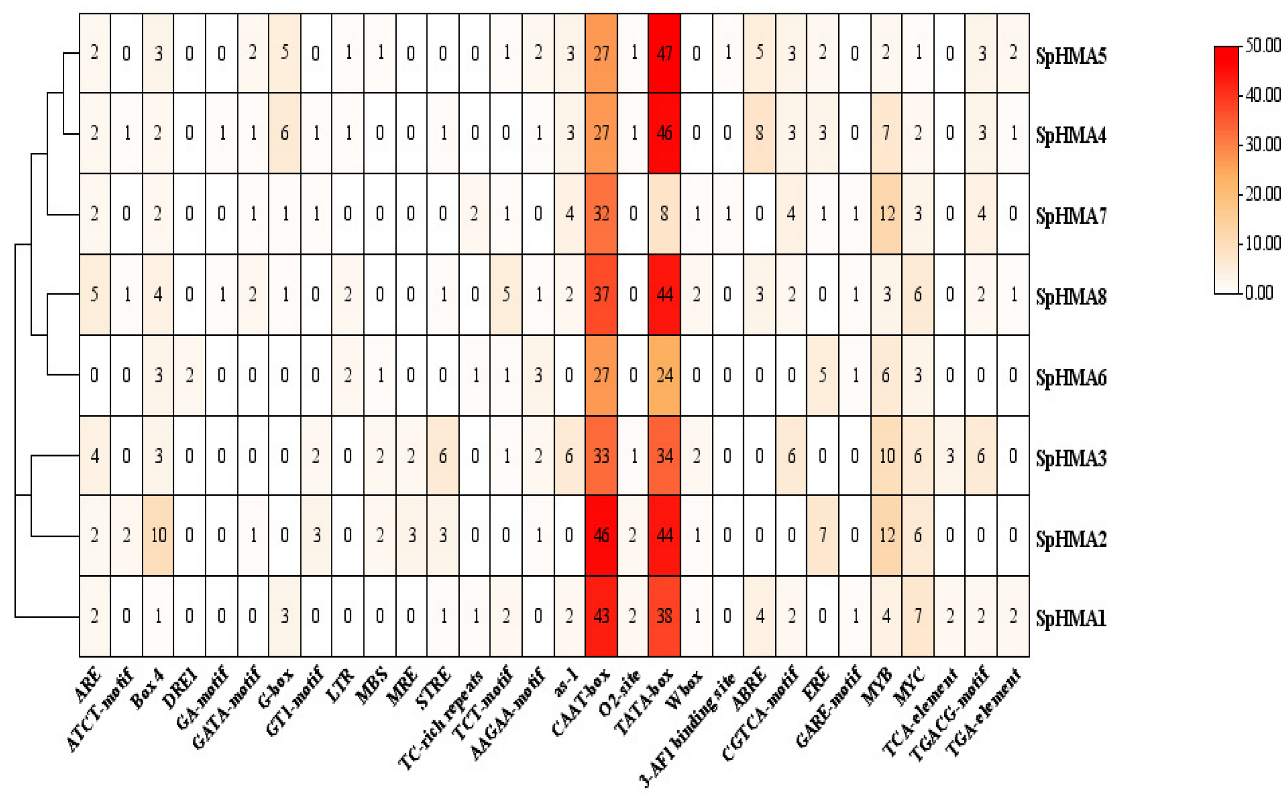 Plants 11 00215 g004 550
