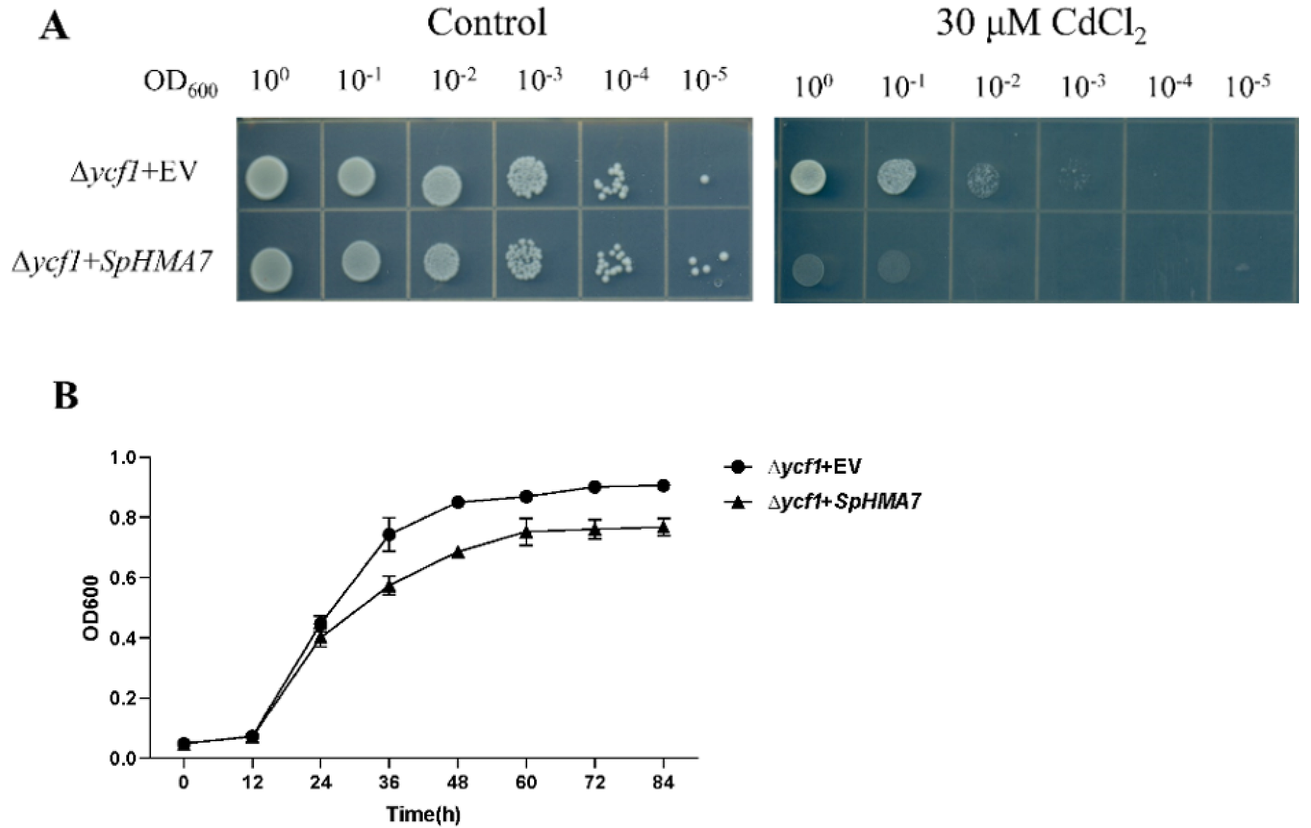 Plants 11 00215 g008 550