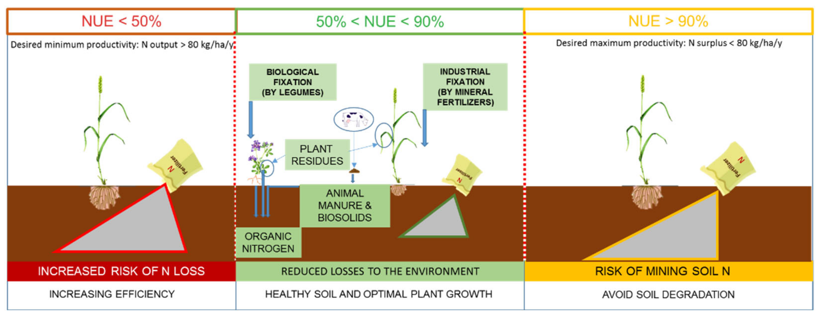 Plants 11 00217 g002 Plants 11 00217 g002