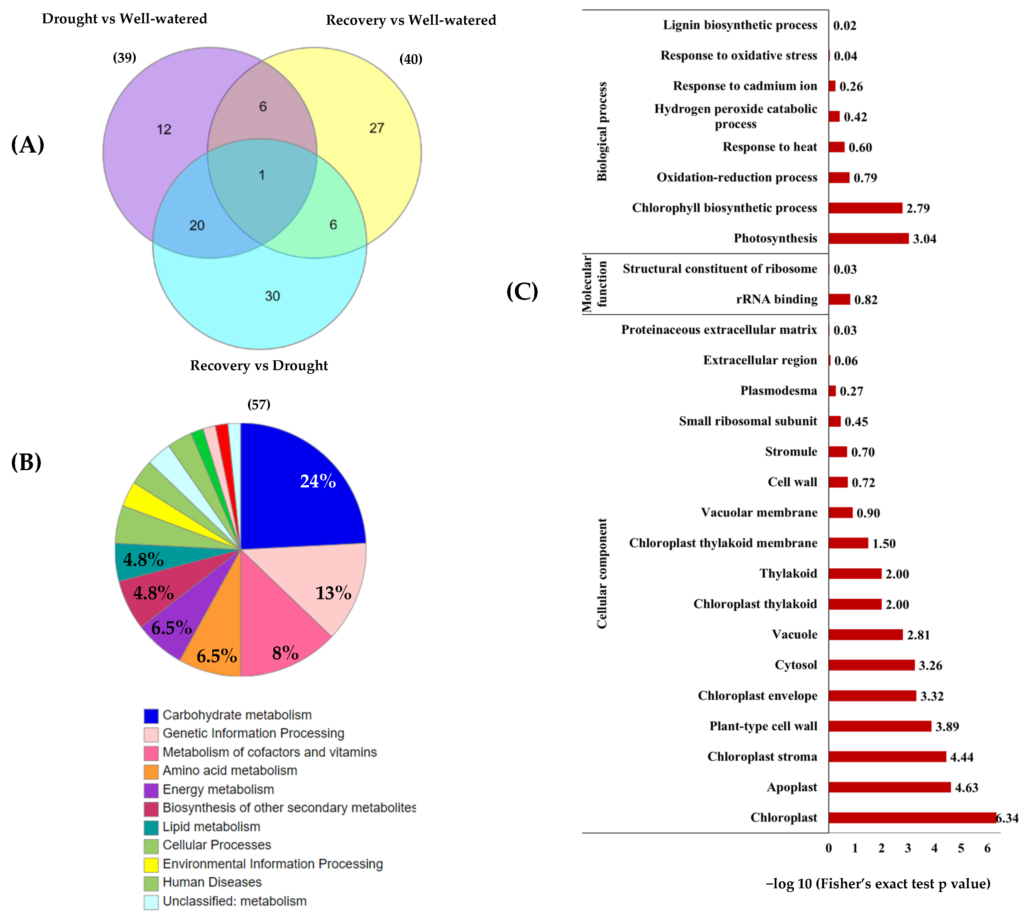 Plants 11 00221 g008