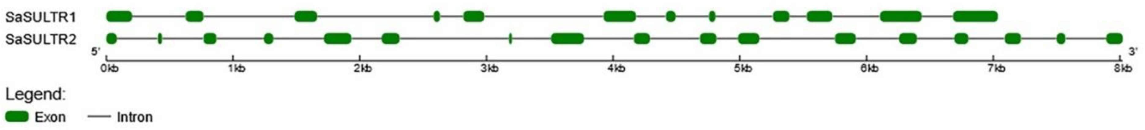 Plants 11 00223 g001 Plants 11 00223 g001