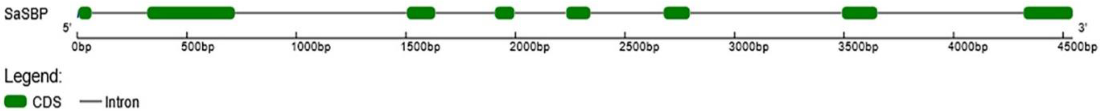 Plants 11 00223 g004 Plants 11 00223 g004