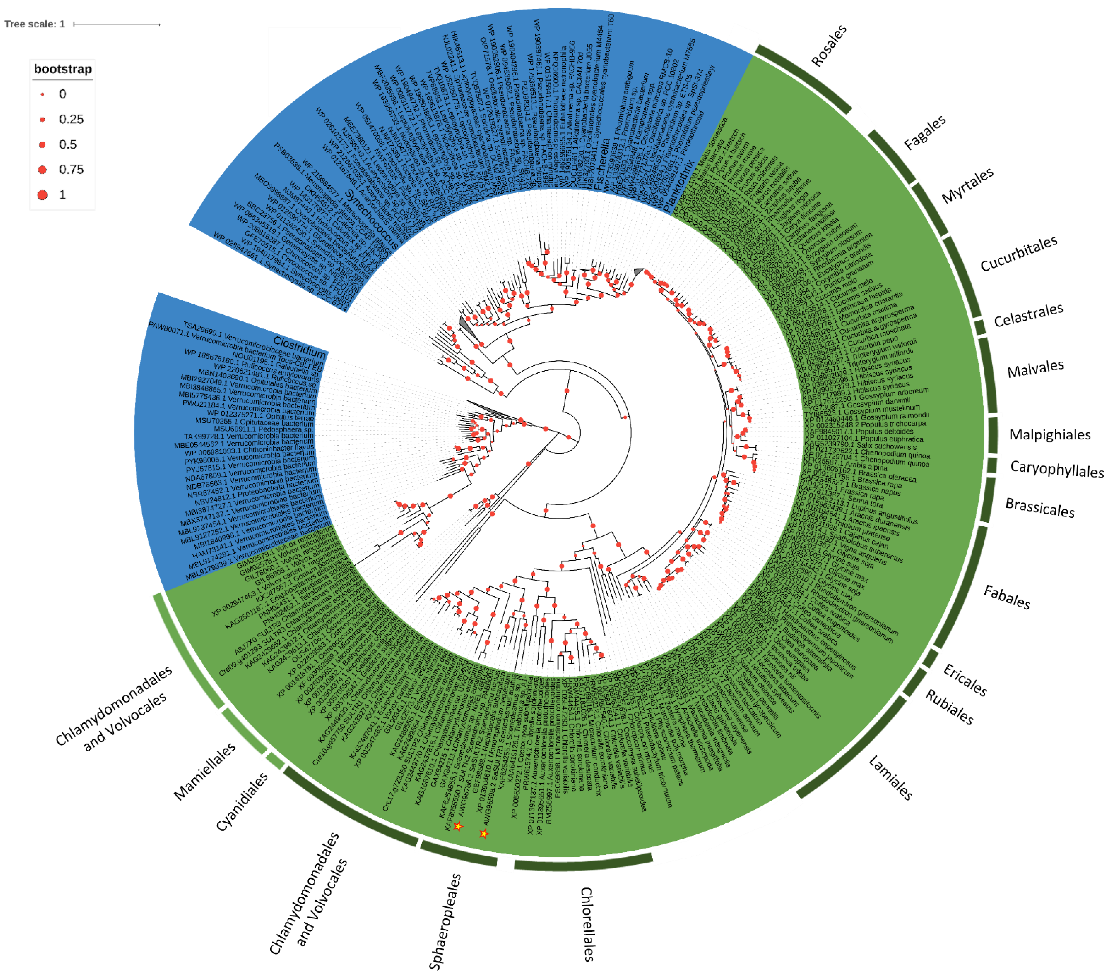 Plants 11 00223 g005 Plants 11 00223 g005