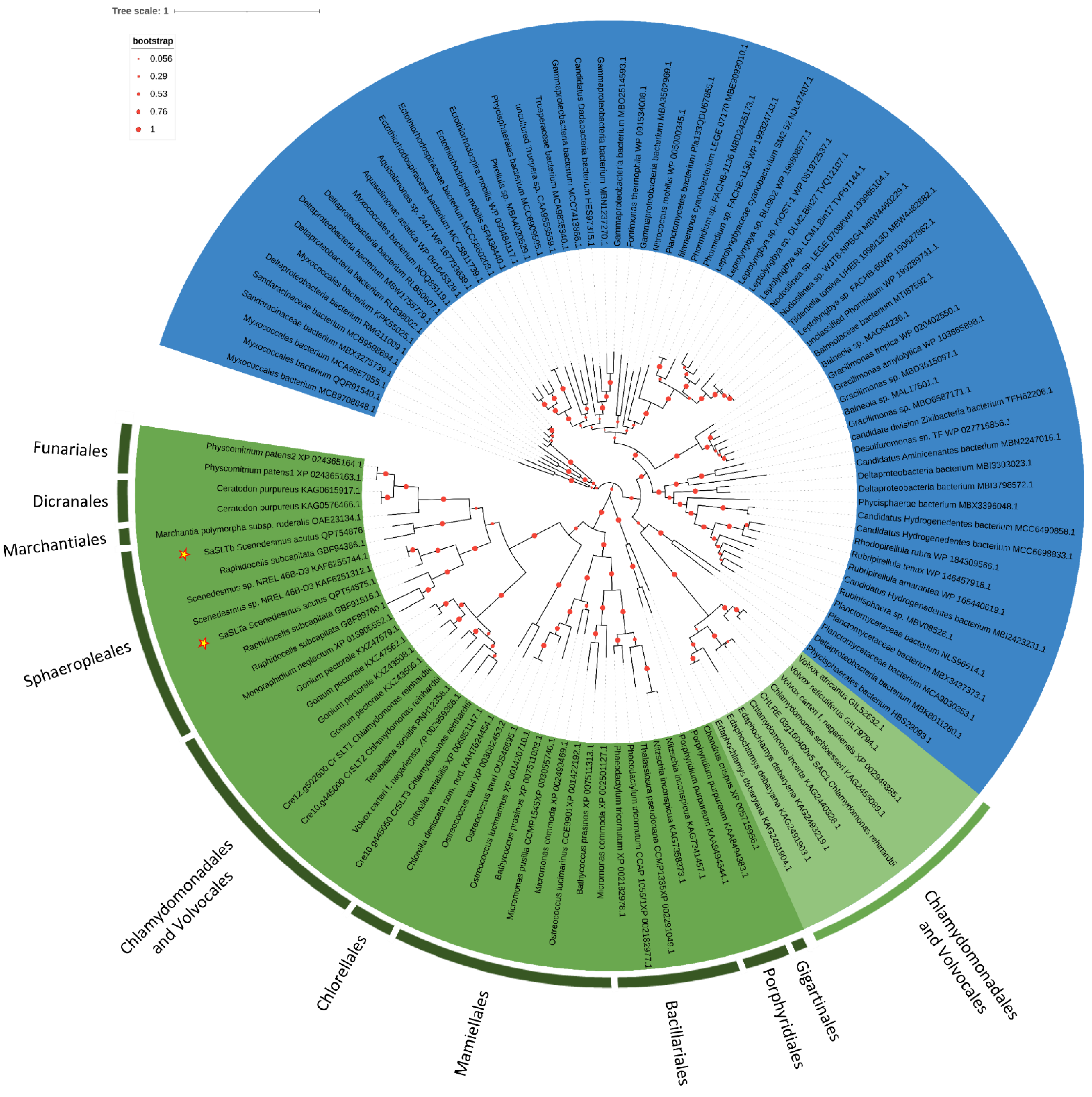 Plants 11 00223 g006 Plants 11 00223 g006