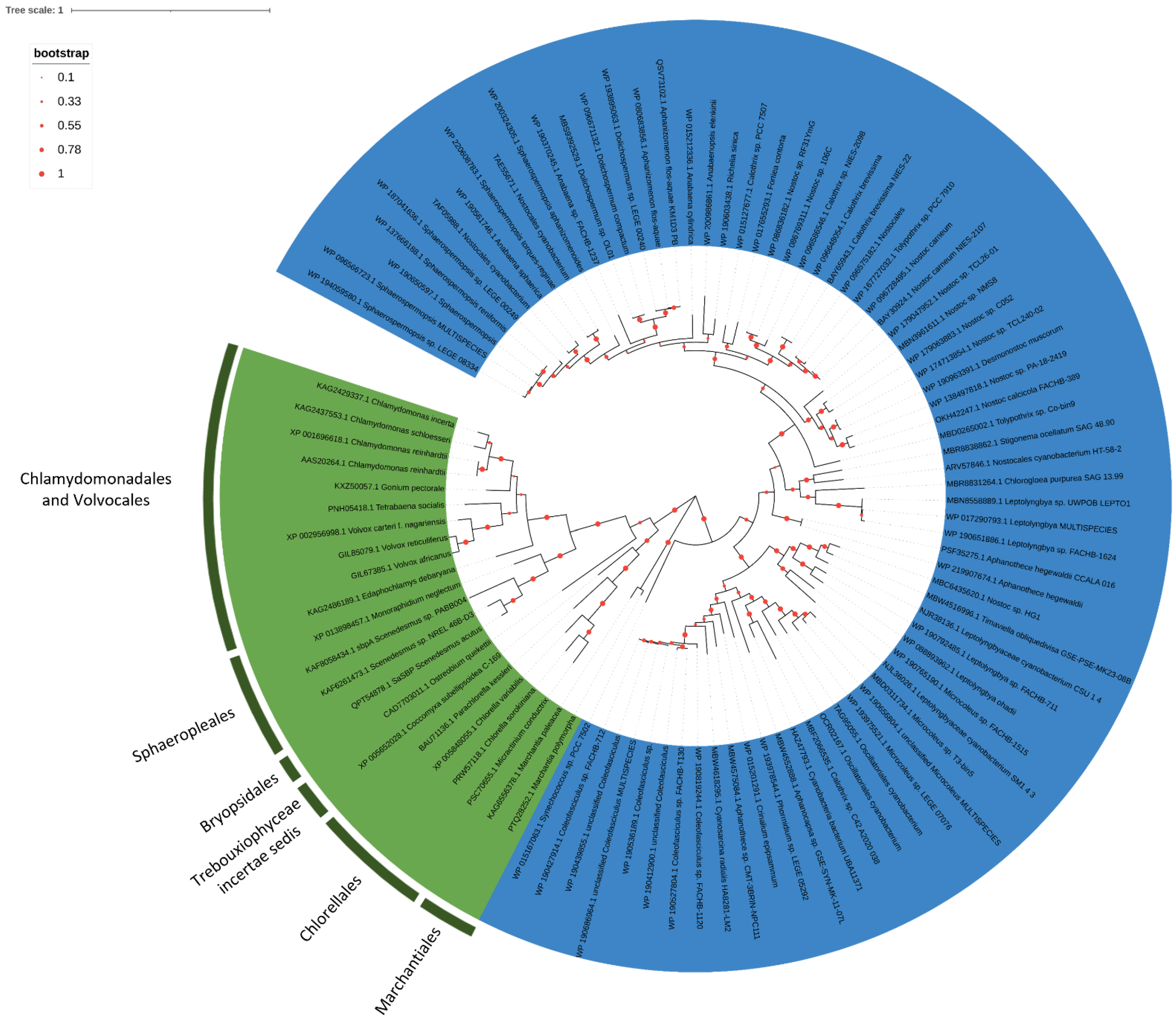 Plants 11 00223 g009 Plants 11 00223 g009