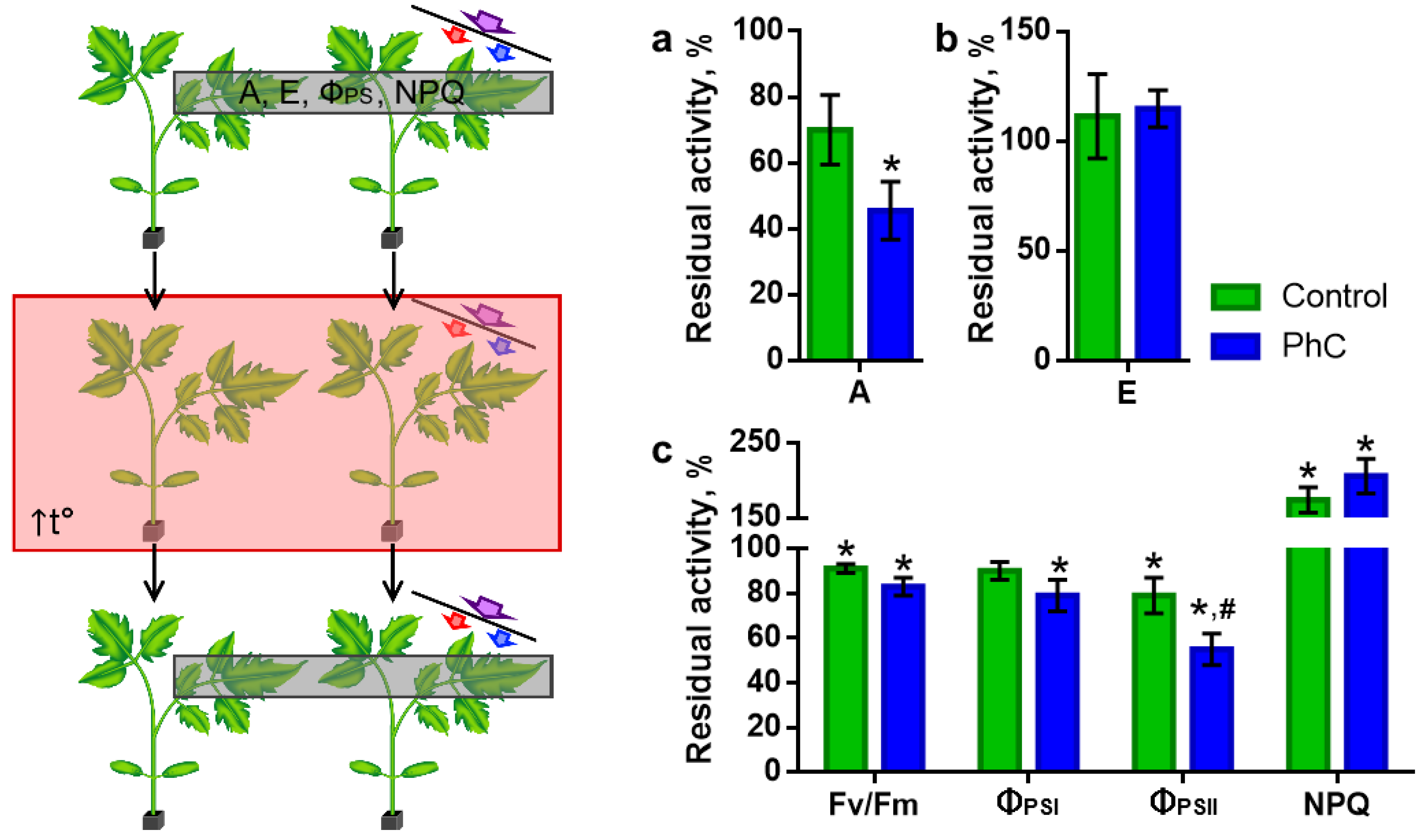 Plants 11 00229 g004 Plants 11 00229 g004