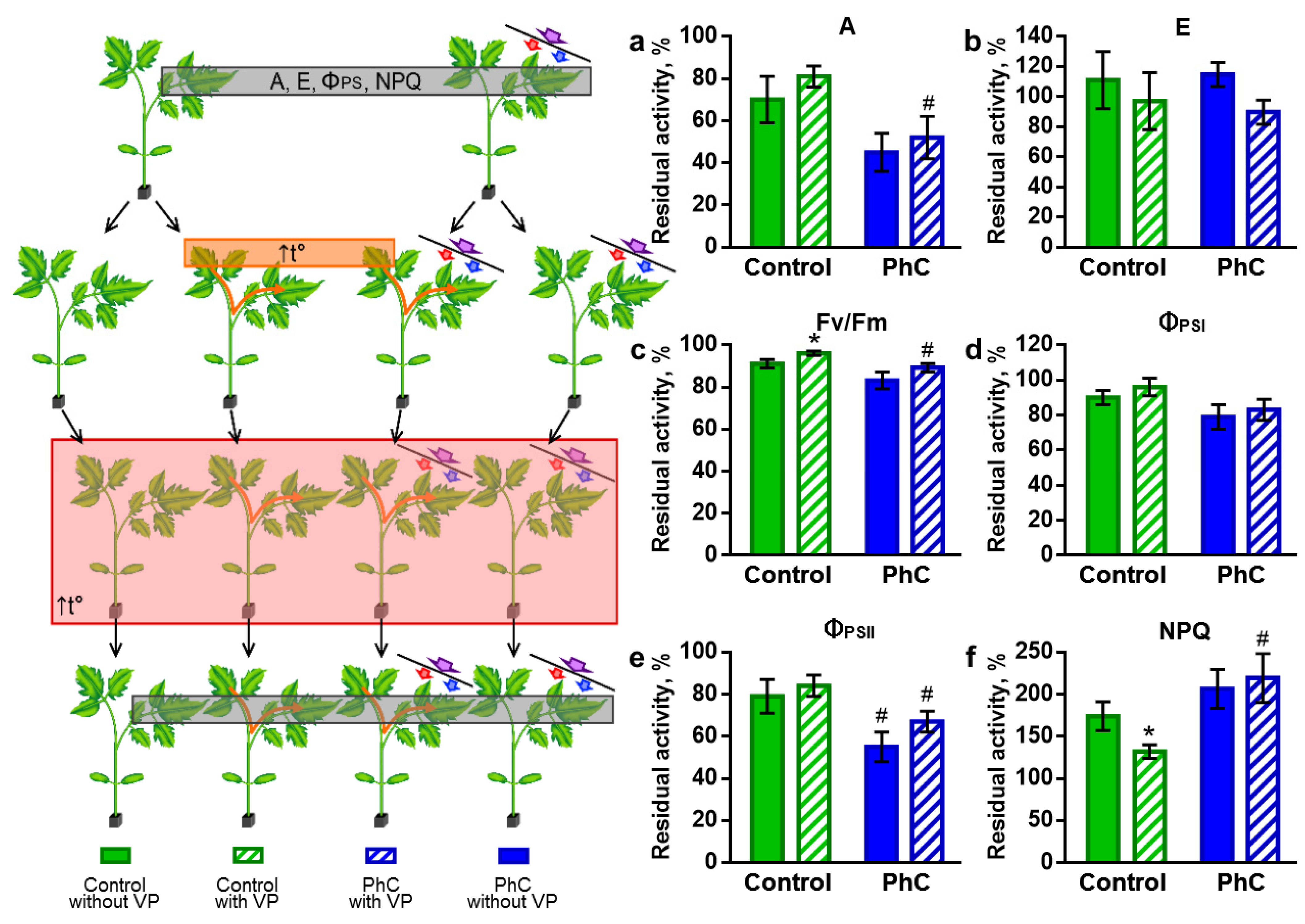 Plants 11 00229 g006 Plants 11 00229 g006