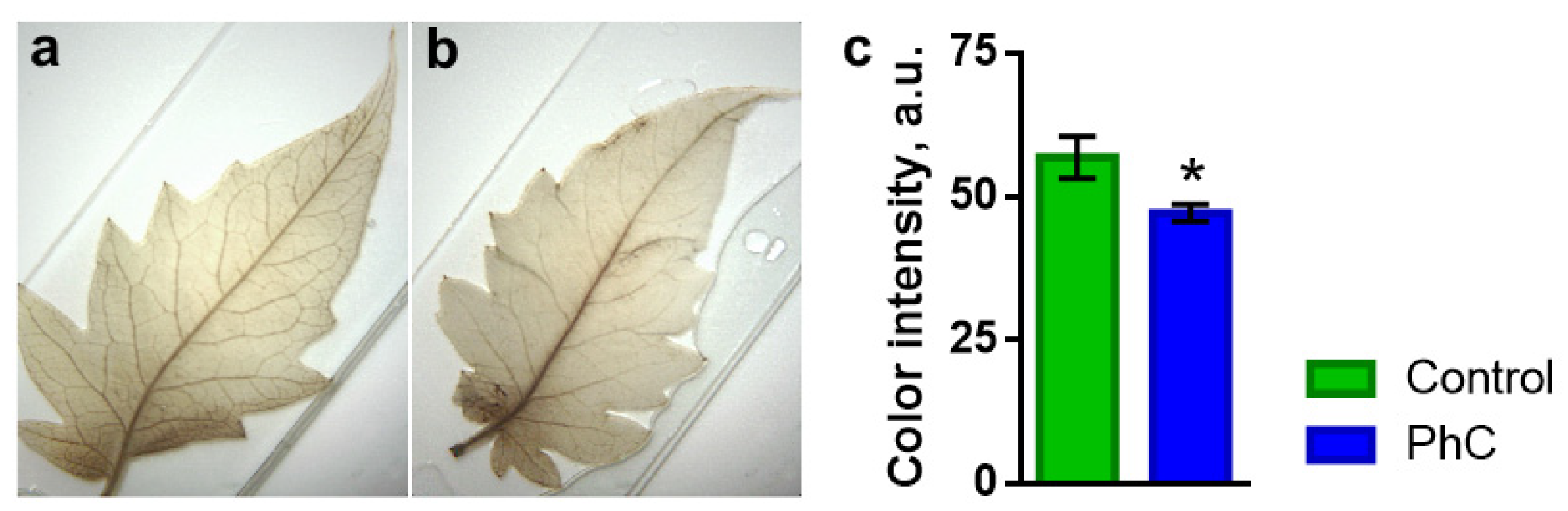 Plants 11 00229 g007 Plants 11 00229 g007