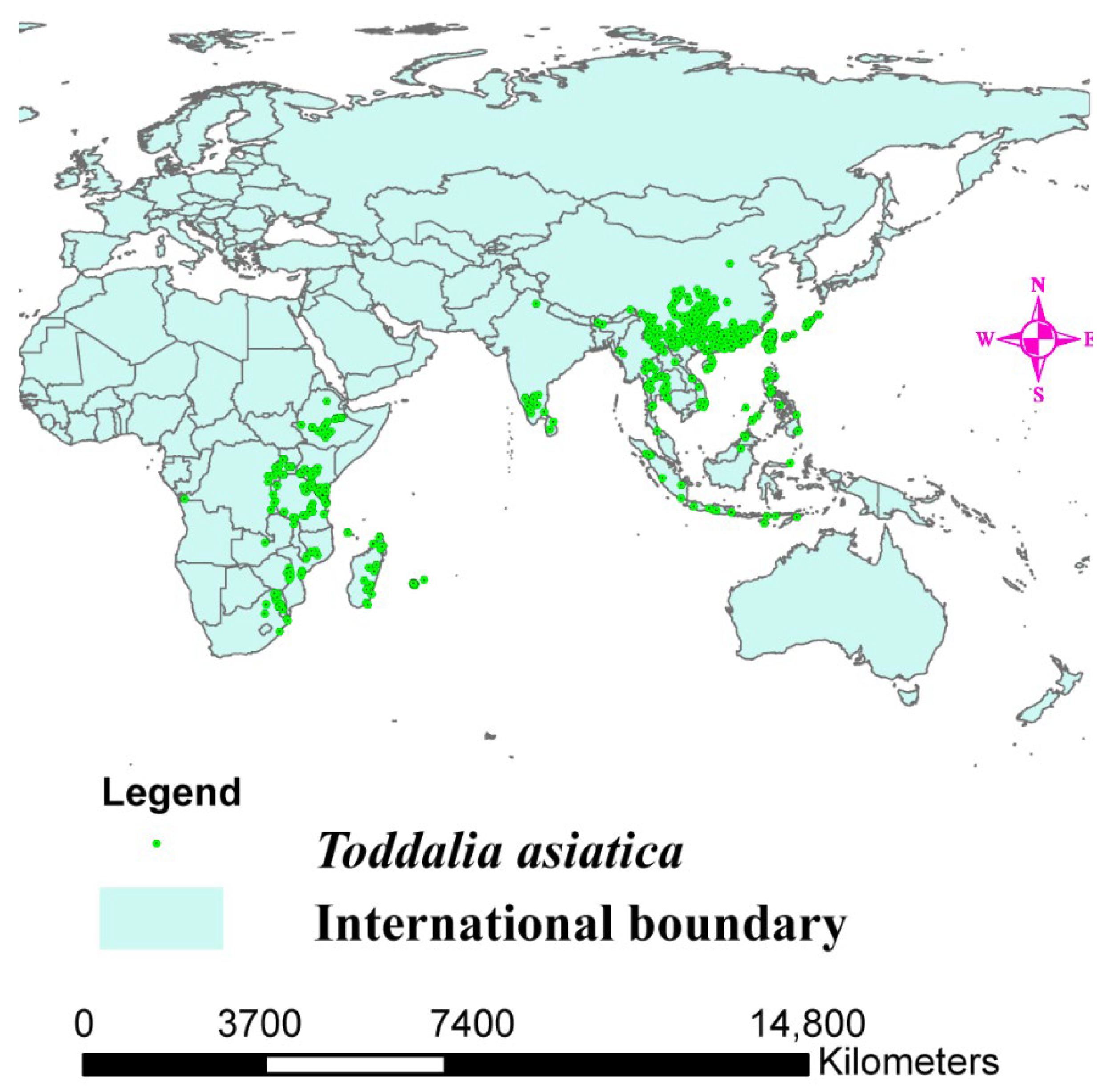 Plants 11 00231 g001 Plants 11 00231 g001