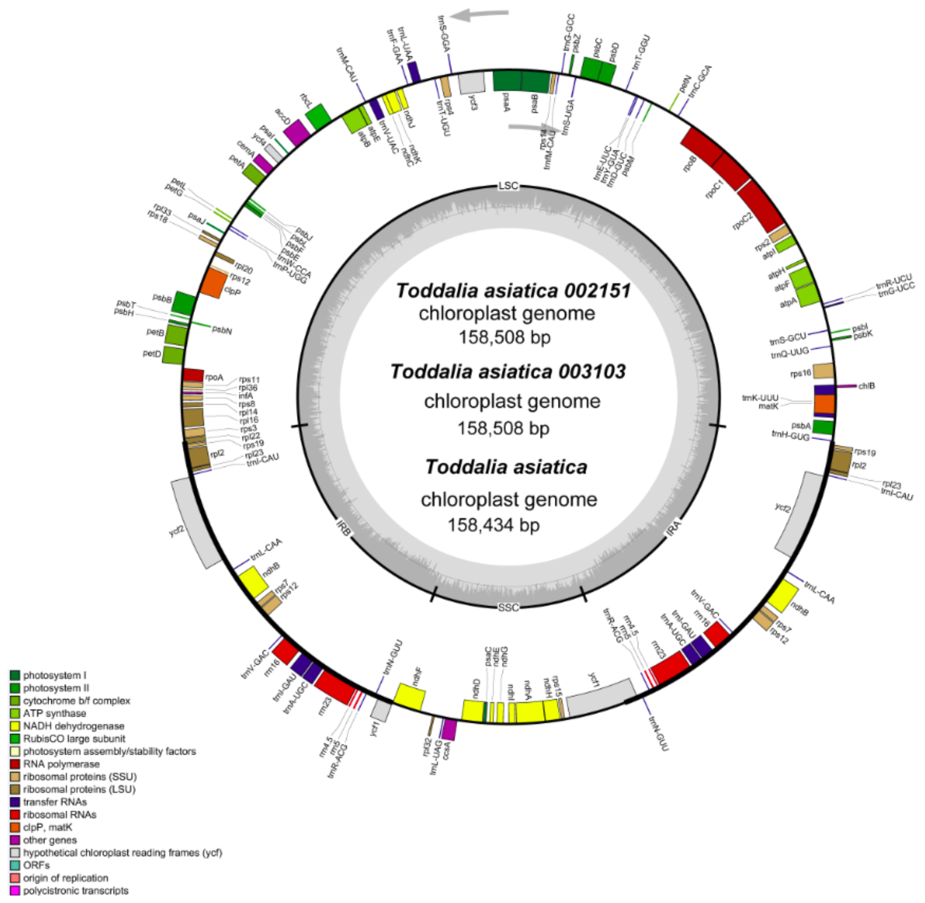 Plants 11 00231 g002 Plants 11 00231 g002