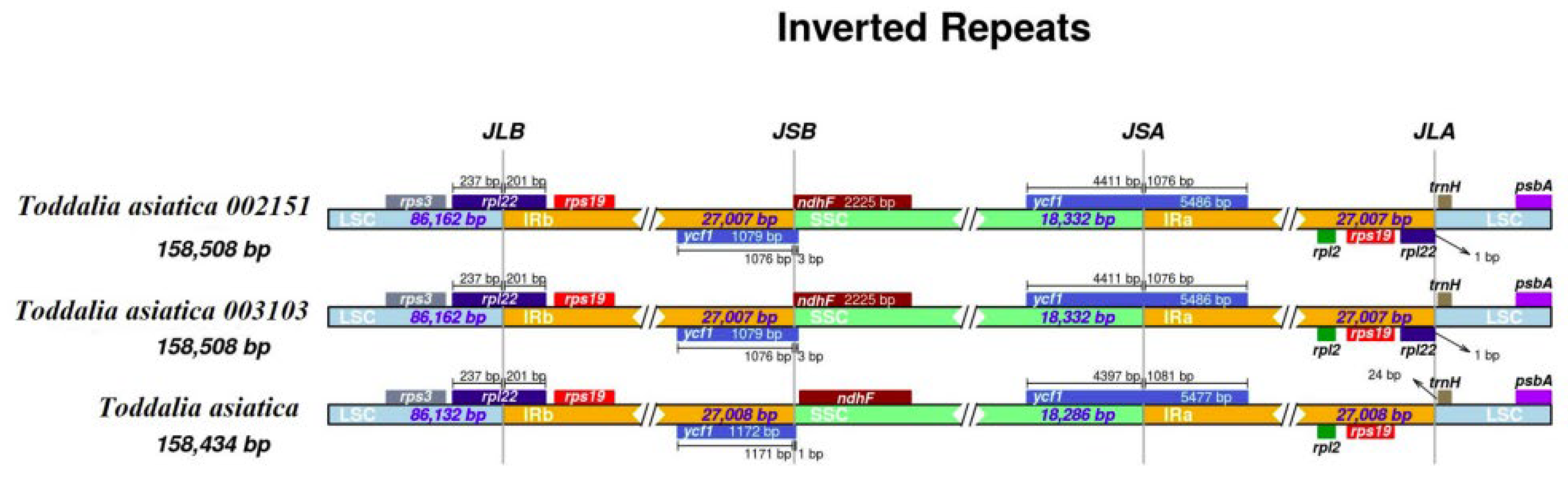 Plants 11 00231 g003 Plants 11 00231 g003