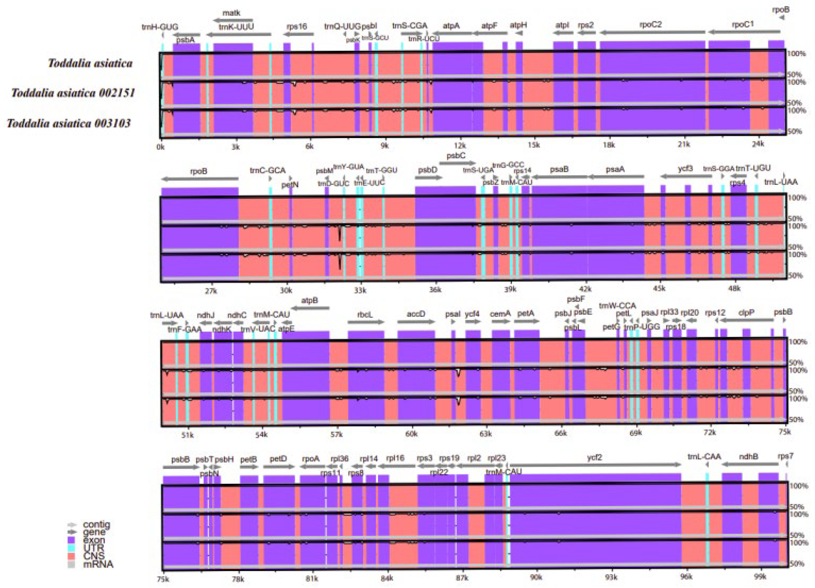 Plants 11 00231 g006 Plants 11 00231 g006