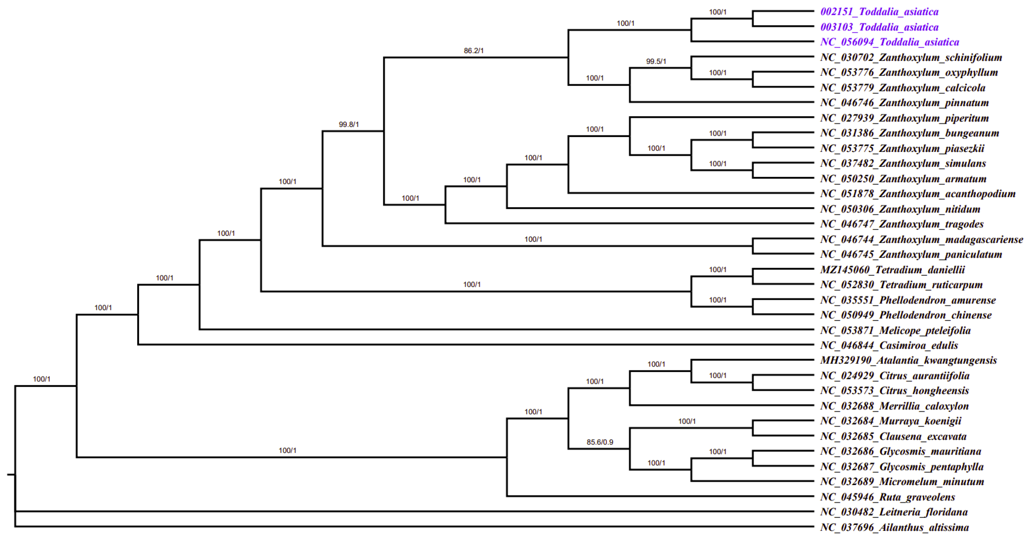 Plants 11 00231 g008 Plants 11 00231 g008