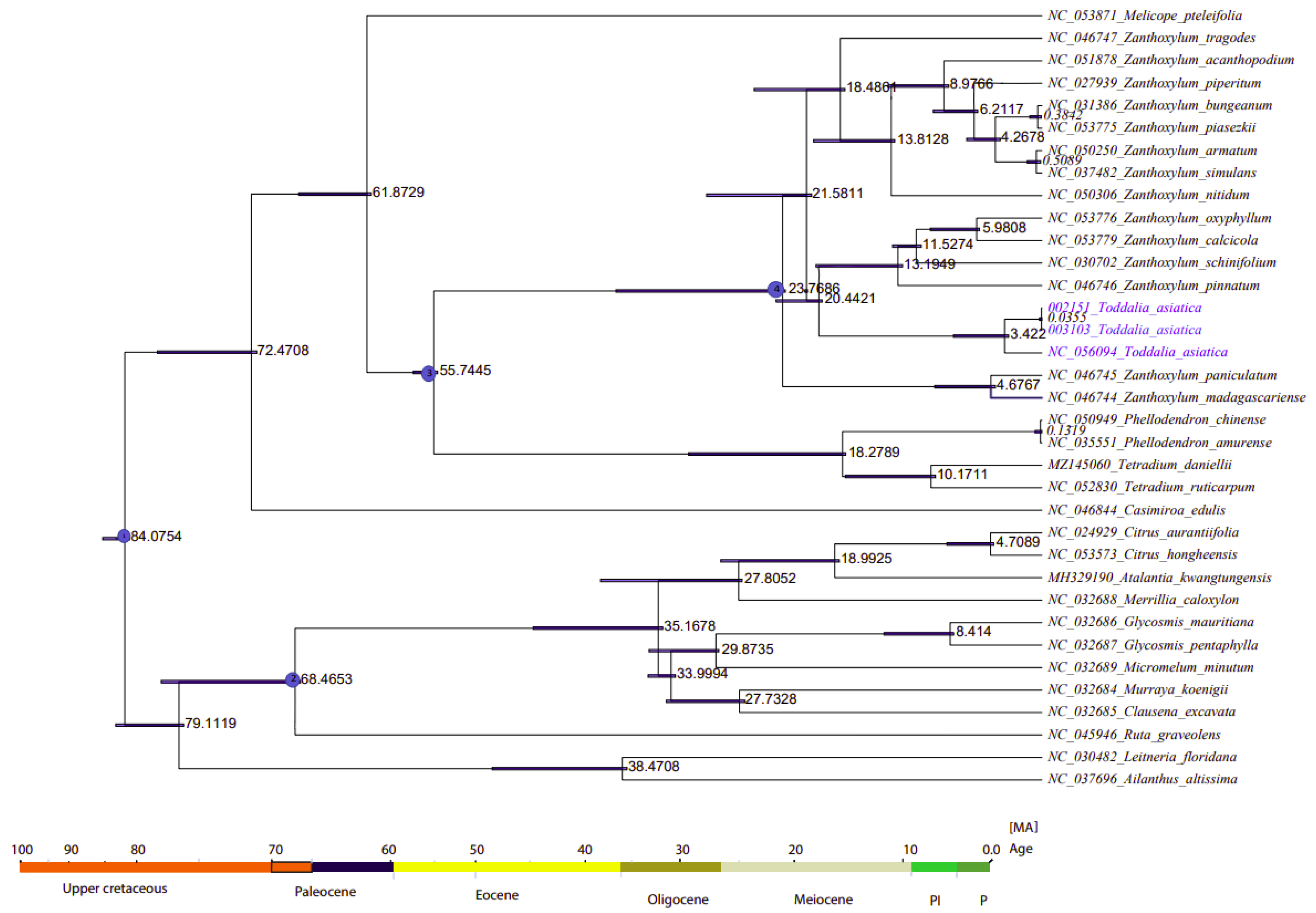 Plants 11 00231 g009 Plants 11 00231 g009