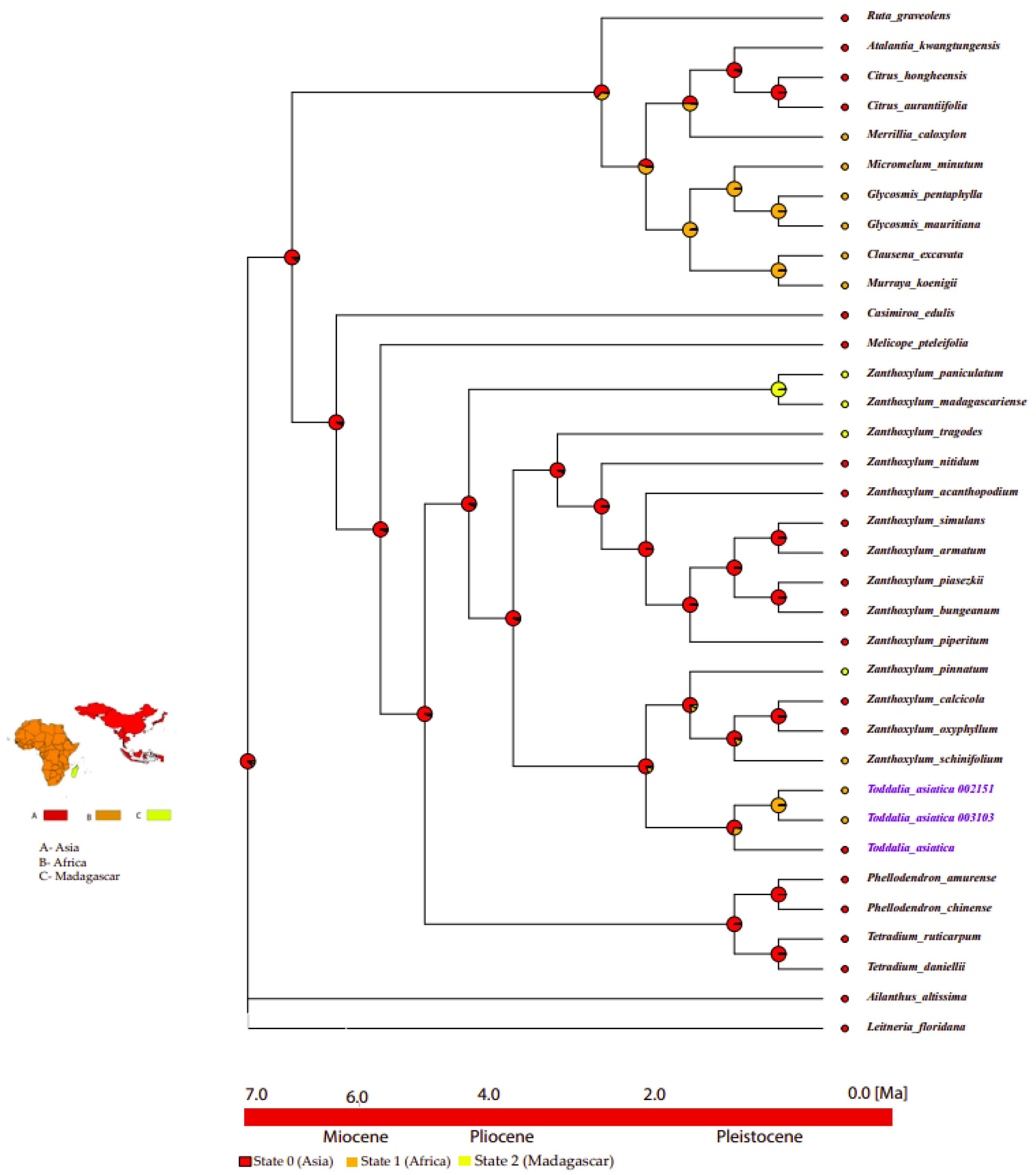 Comparative Genomics, Phylogenetics, Biogeography, and Effects of ...