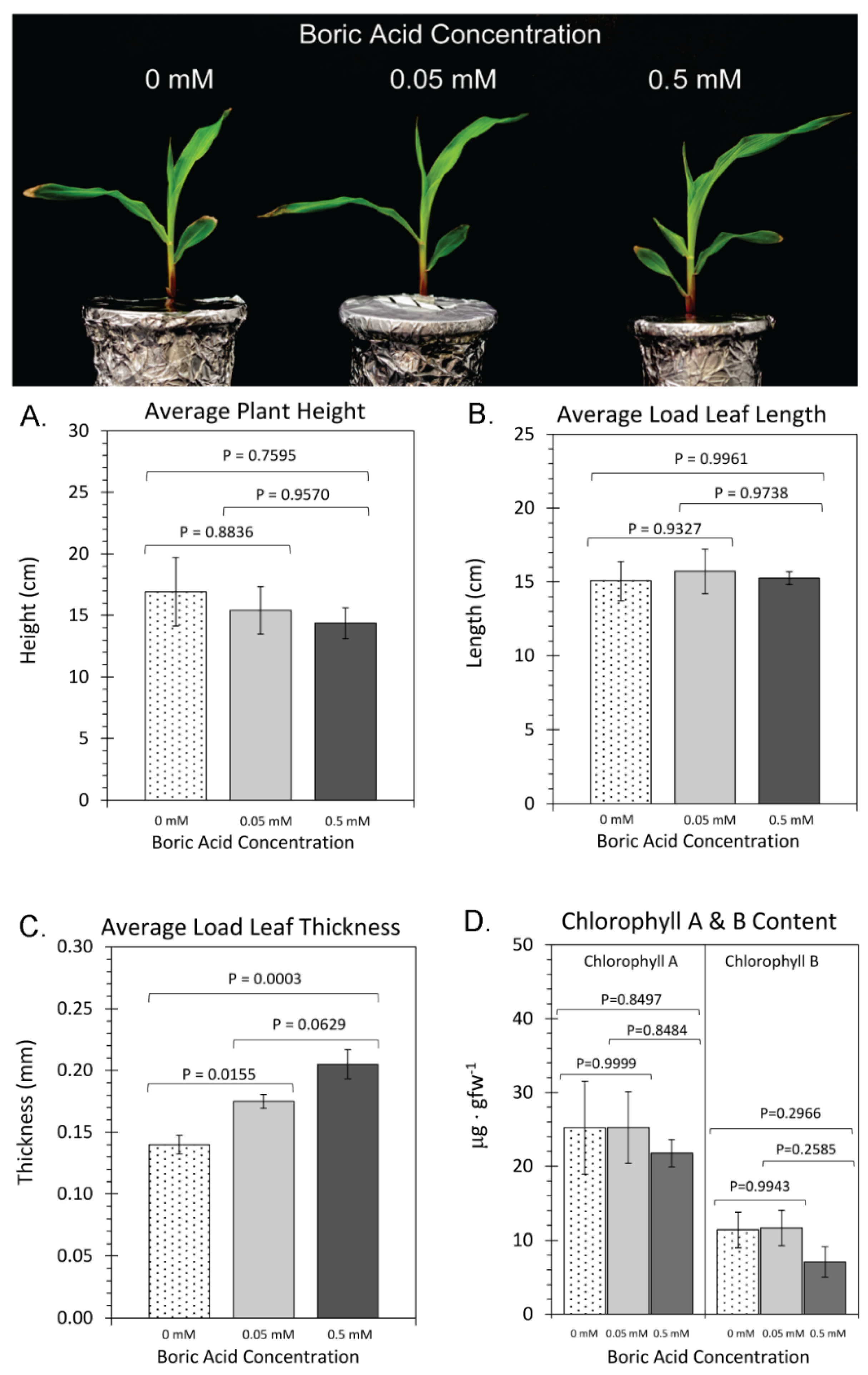 Plants 11 00241 g002 Plants 11 00241 g002