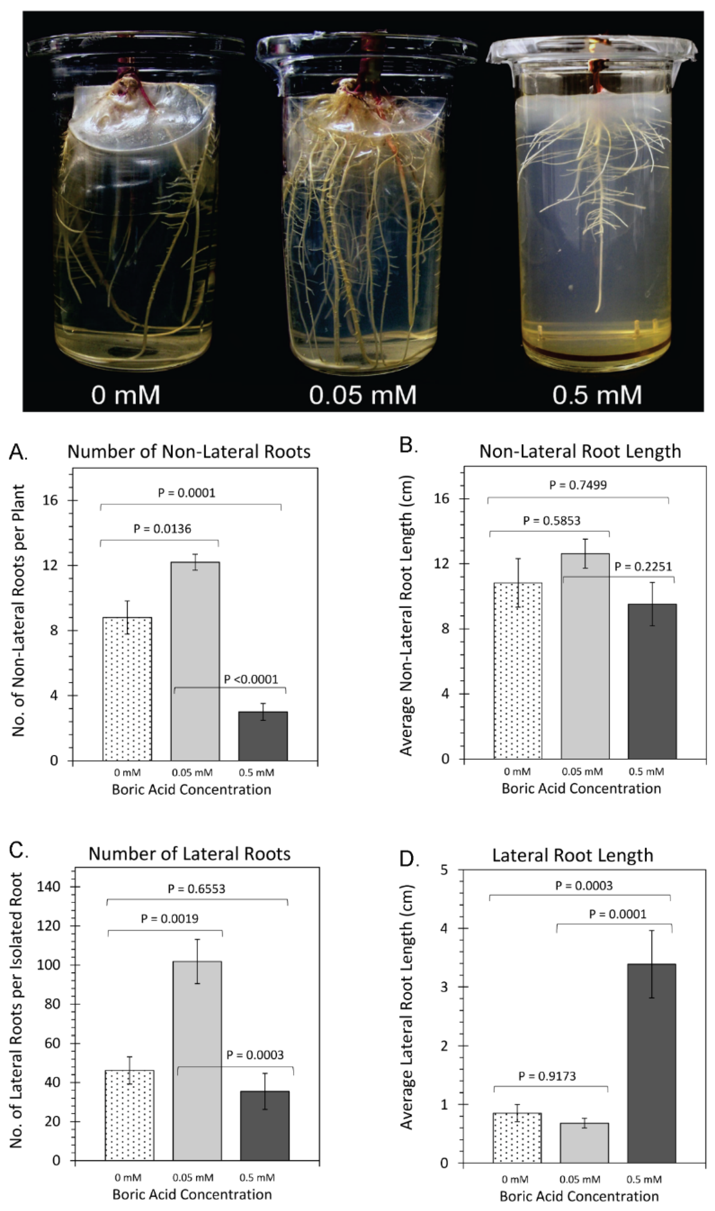 Plants 11 00241 g003 Plants 11 00241 g003