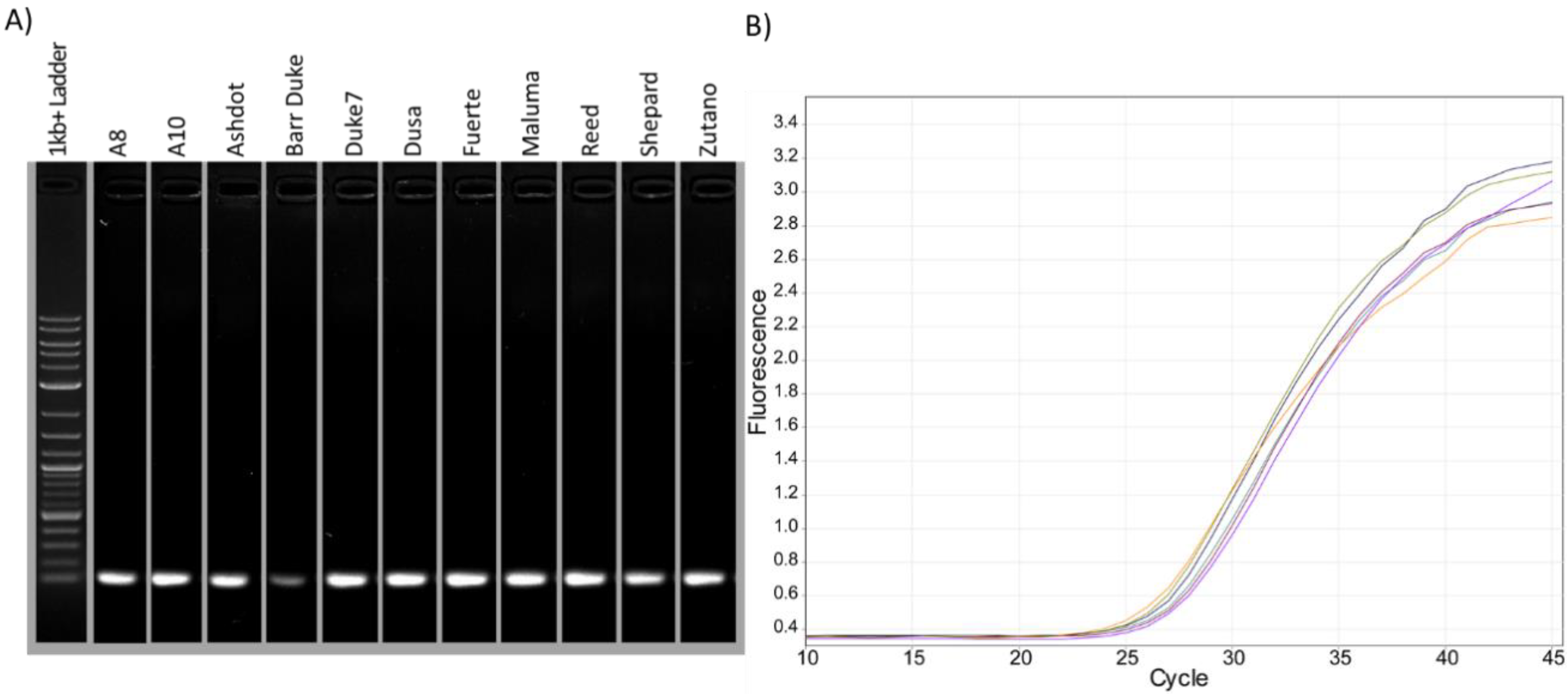 Plants 11 00242 g004