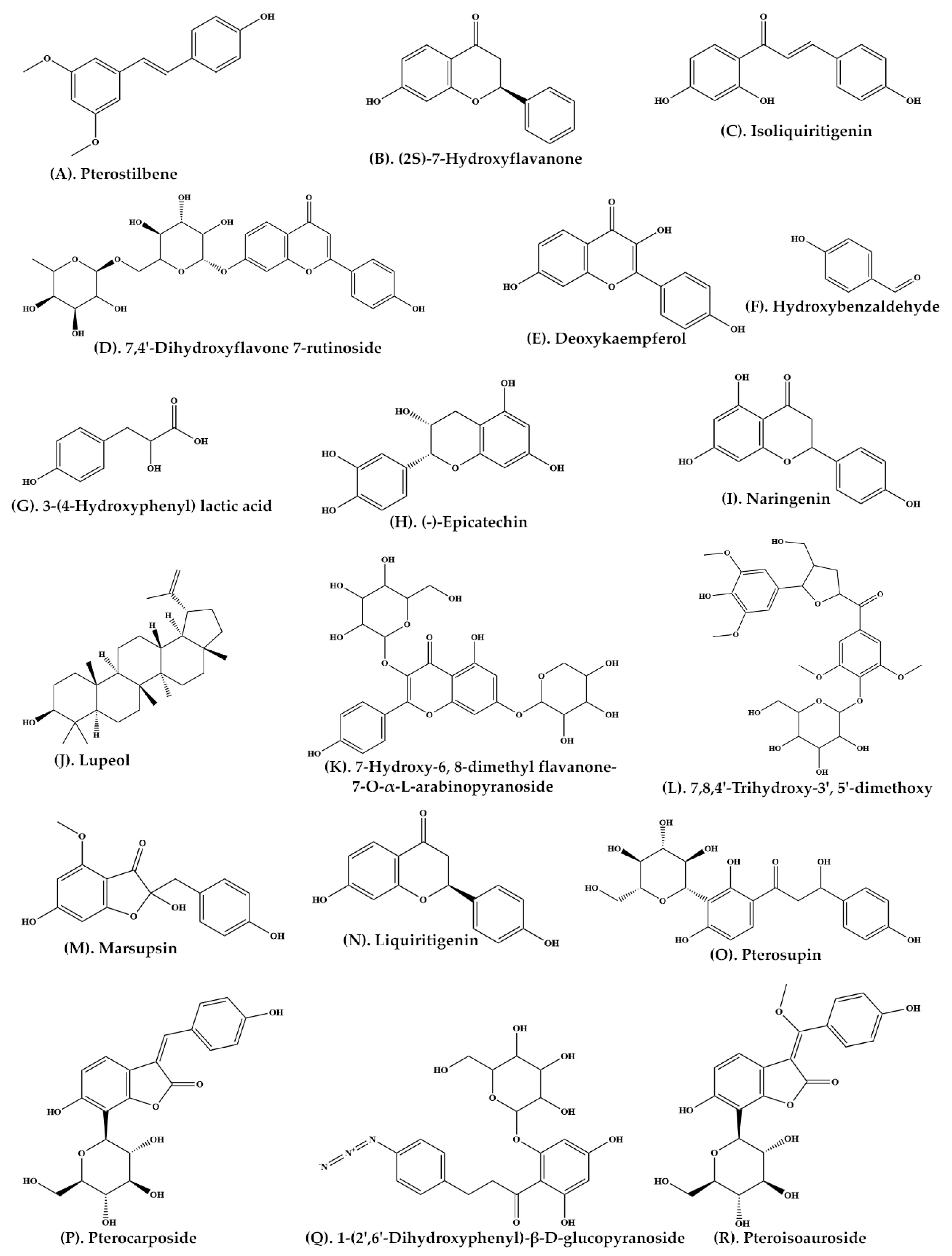 Plants 11 00247 g002