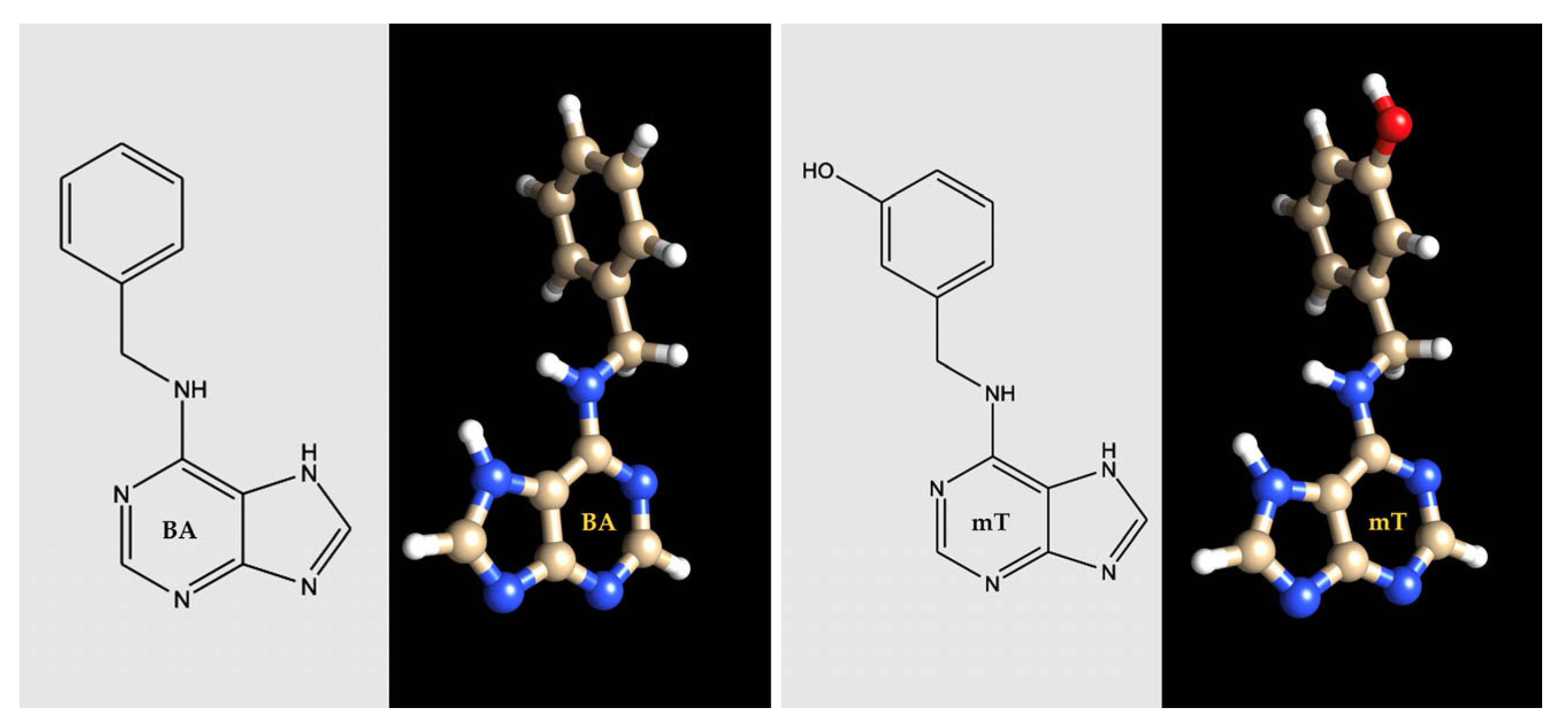 Plants 11 00247 g005