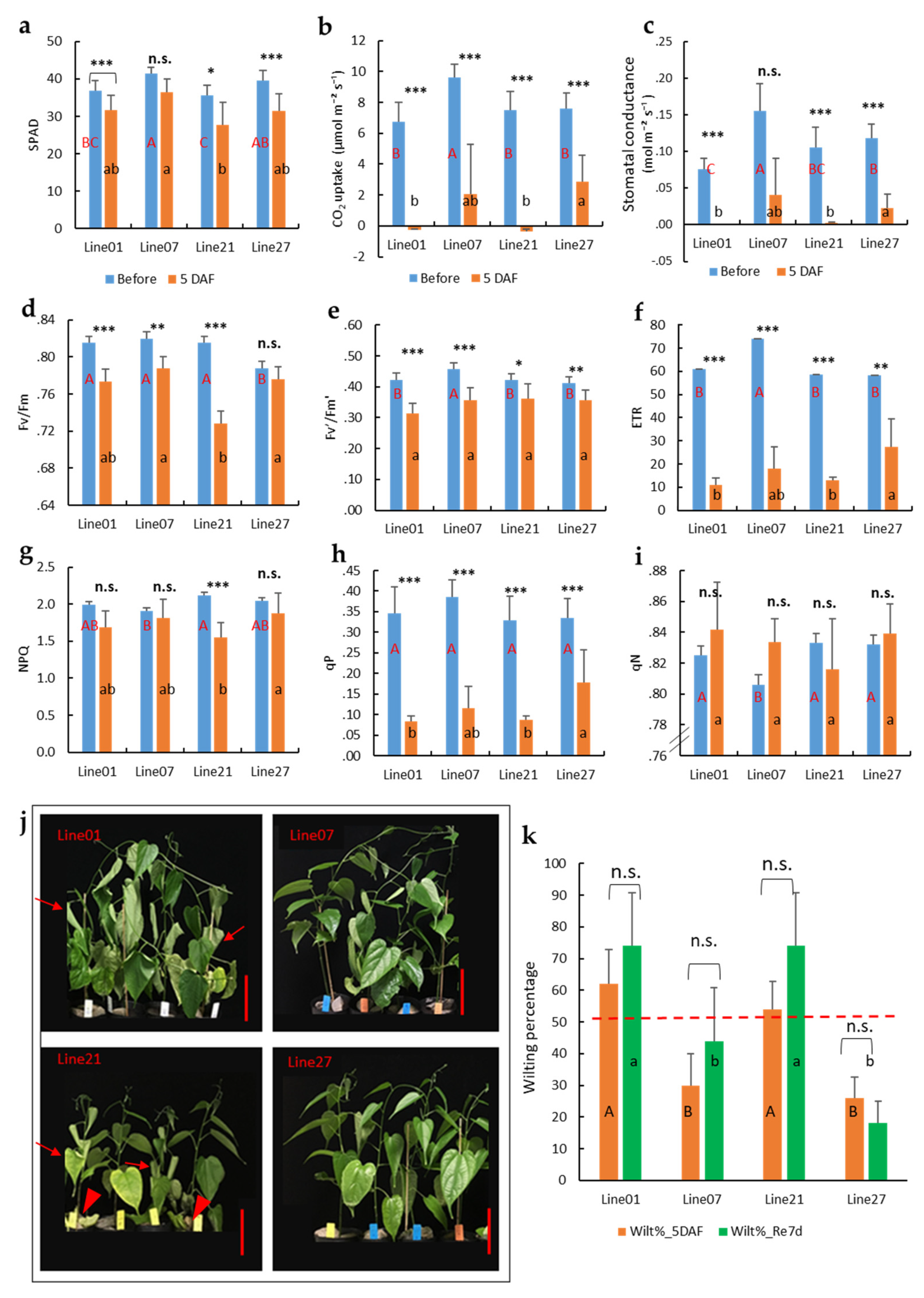 Plants 11 00249 g004