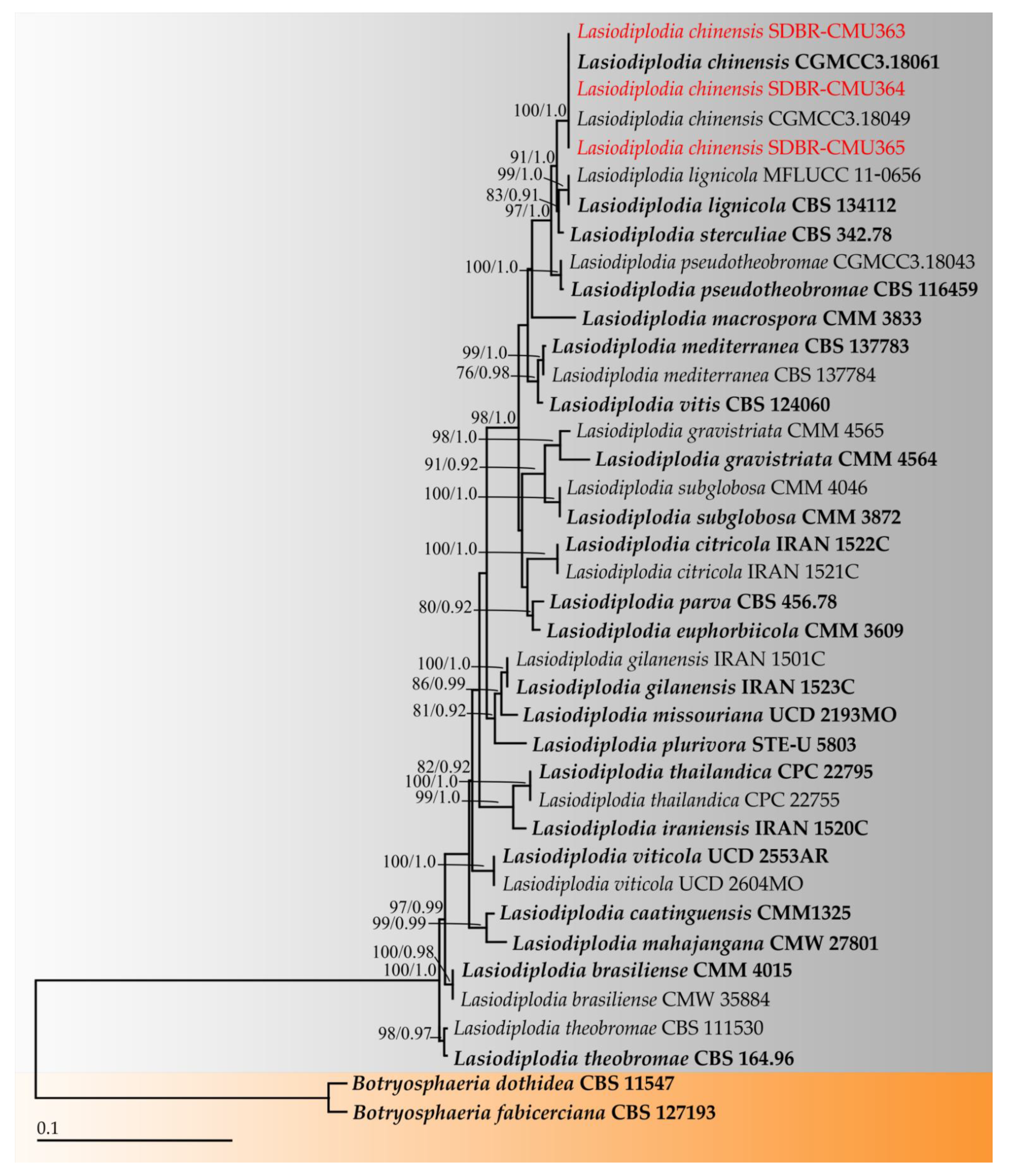 Plants 11 00273 g002 Plants 11 00273 g002