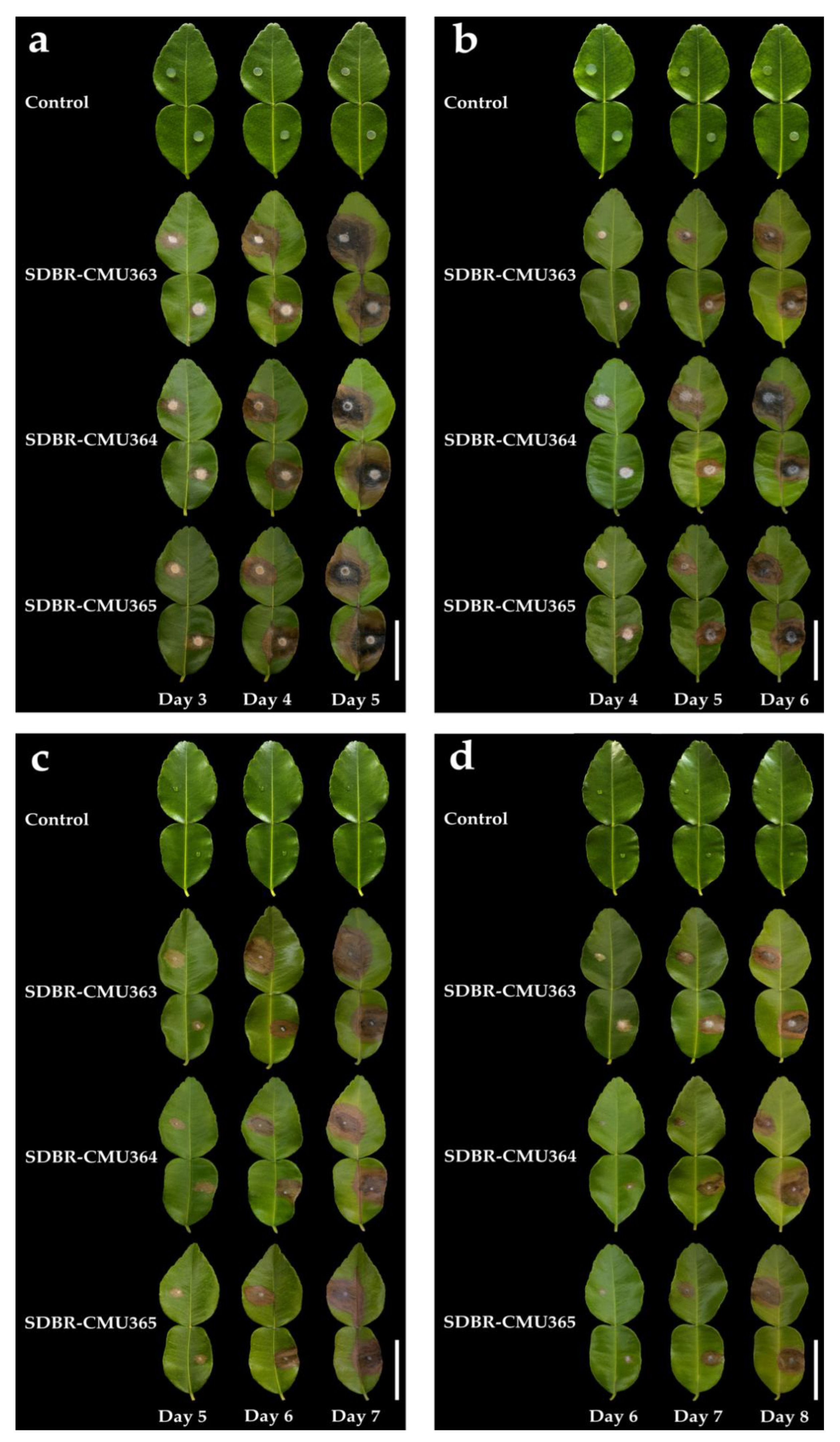 Plants 11 00273 g003 Plants 11 00273 g003