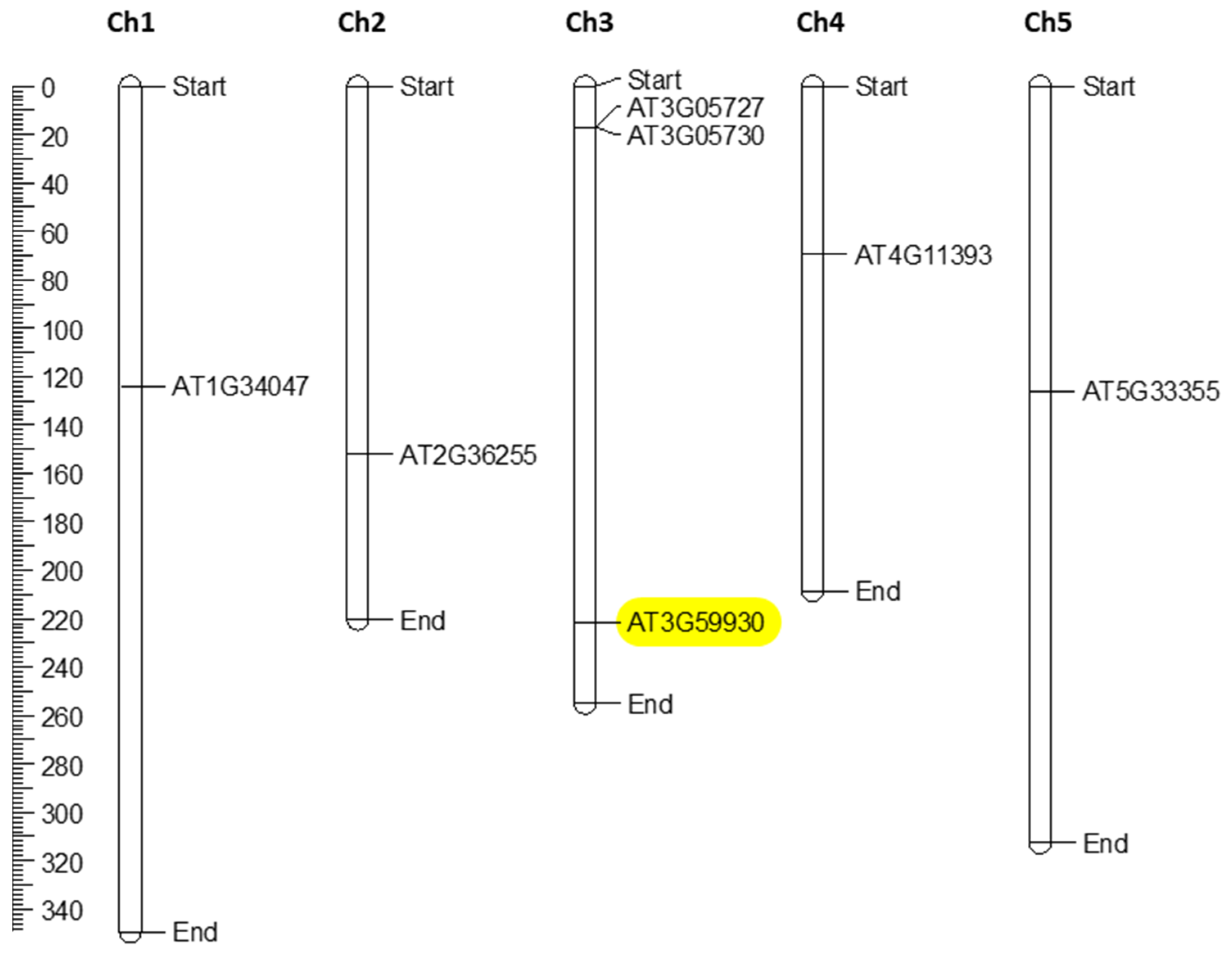 Plants 11 00280 g003 Plants 11 00280 g003