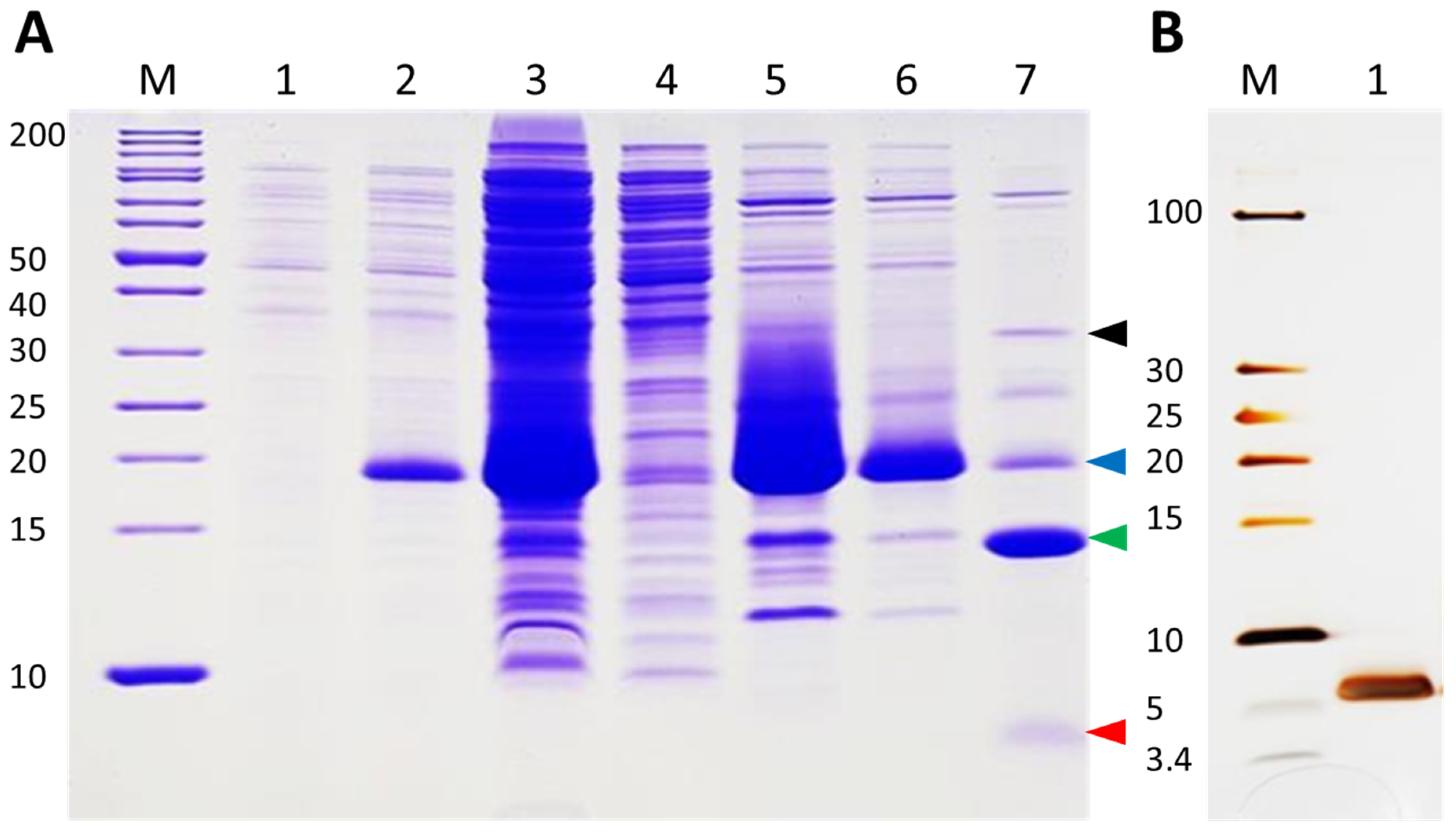 Plants 11 00280 g008 Plants 11 00280 g008