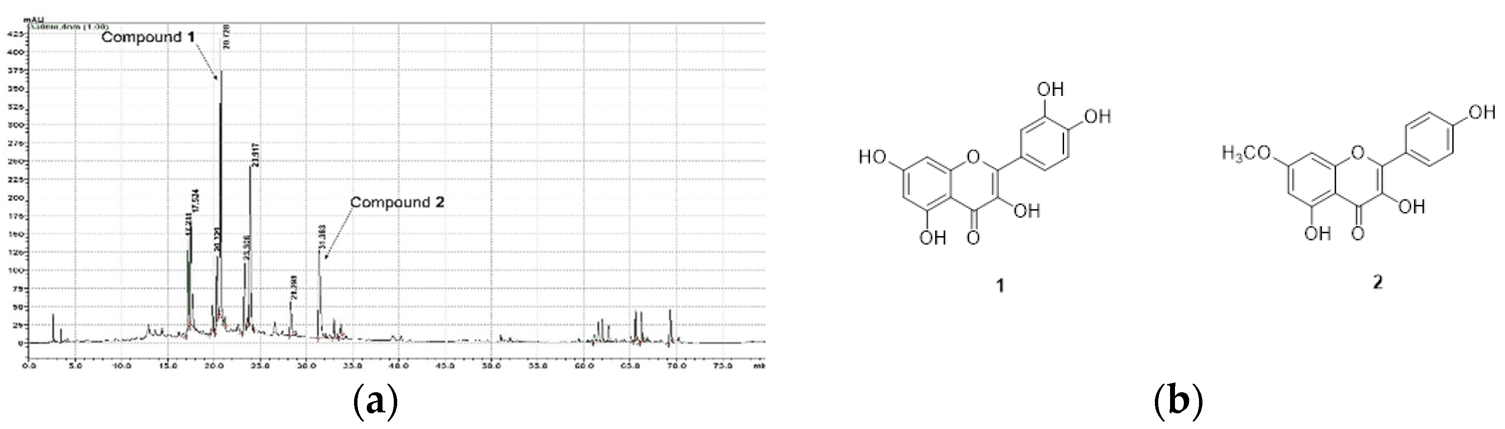 Plants 11 00284 g001