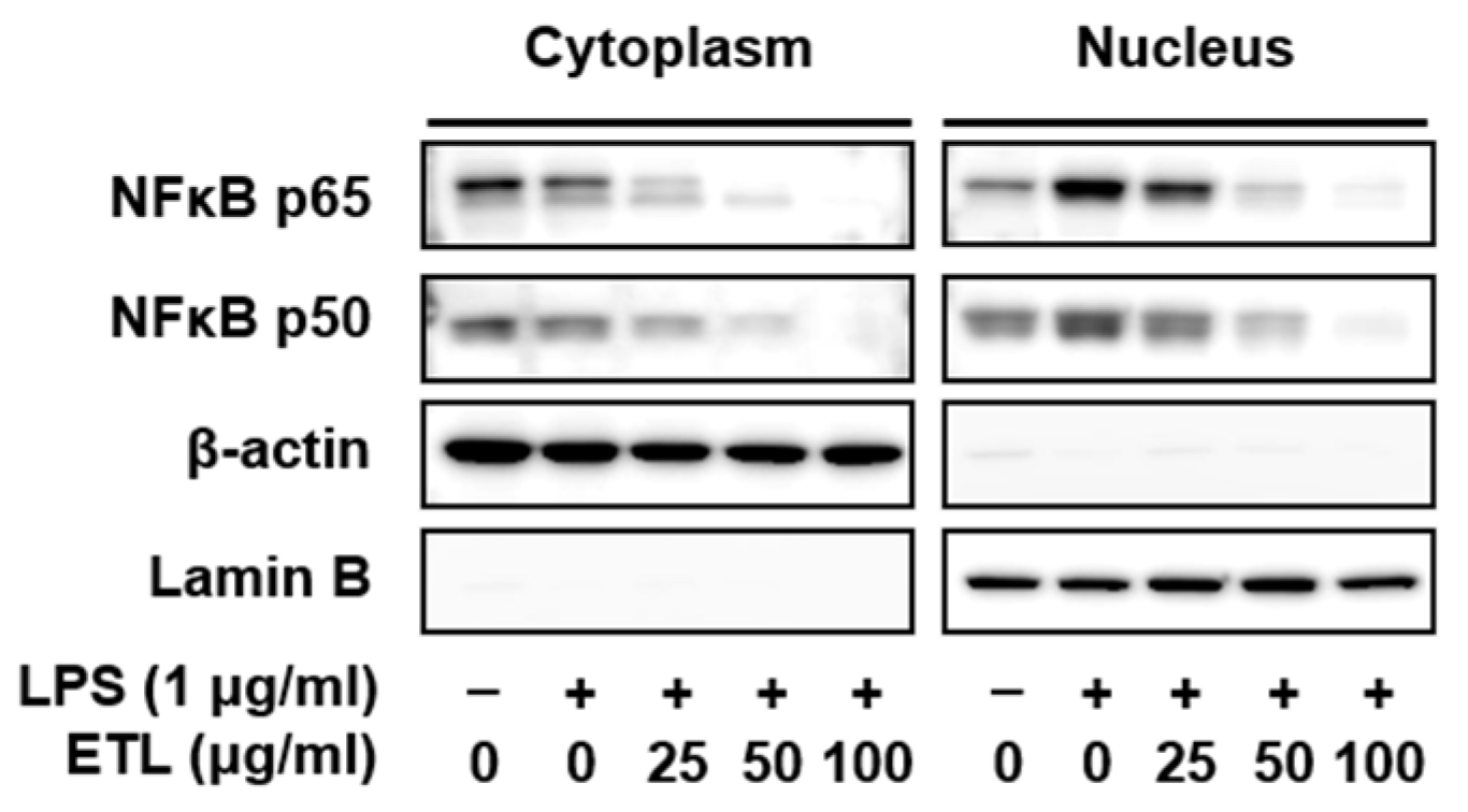 Plants 11 00284 g006